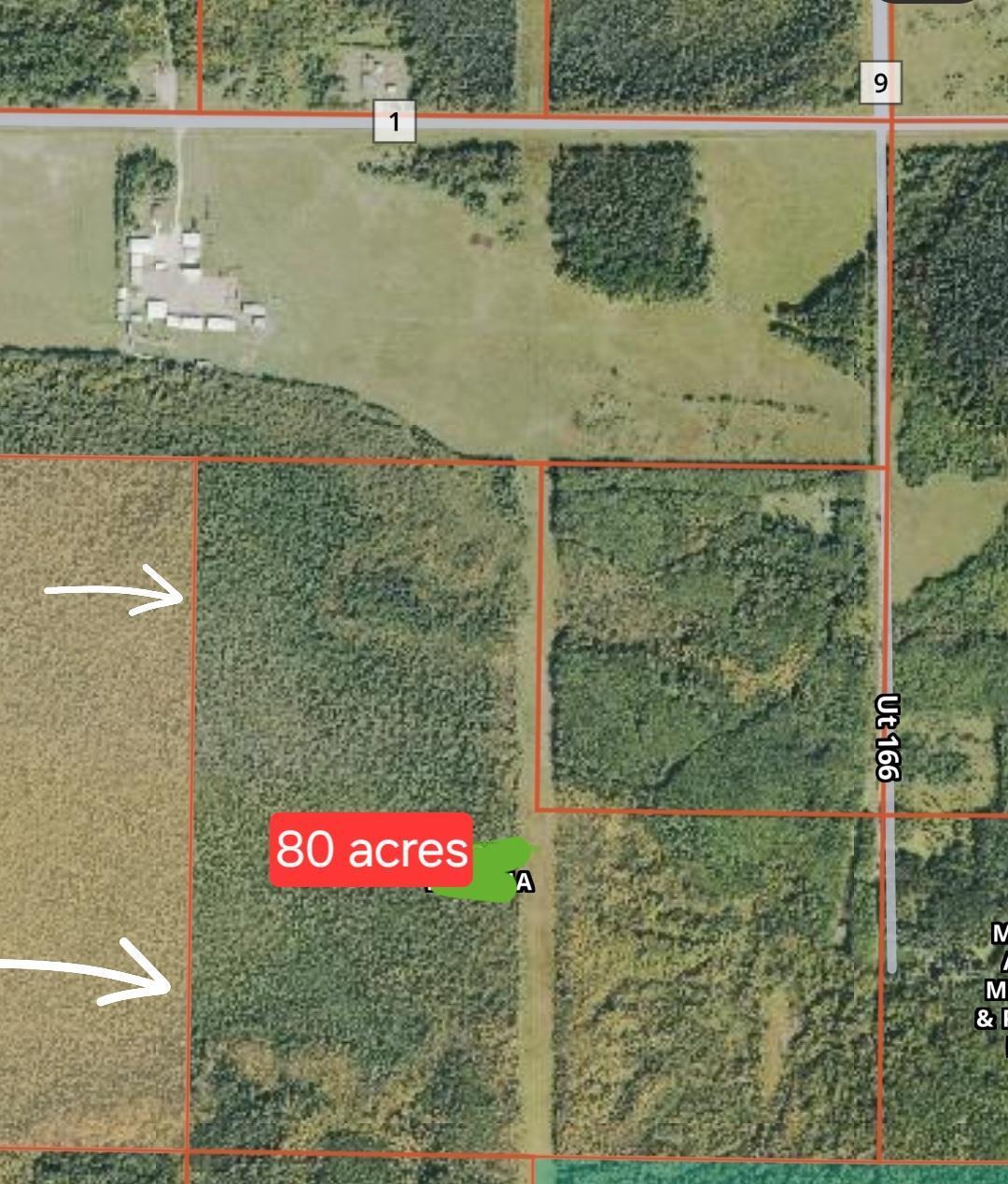 Tbd Town Road 166 Property Photo 11