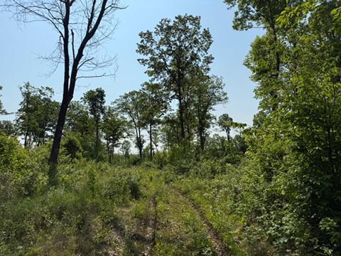 Tbd County Road T Property Photo 1