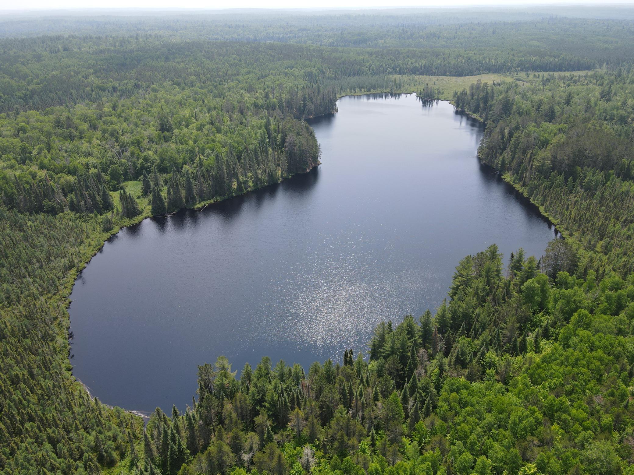Tbd Holm Logging Road Property Photo 1