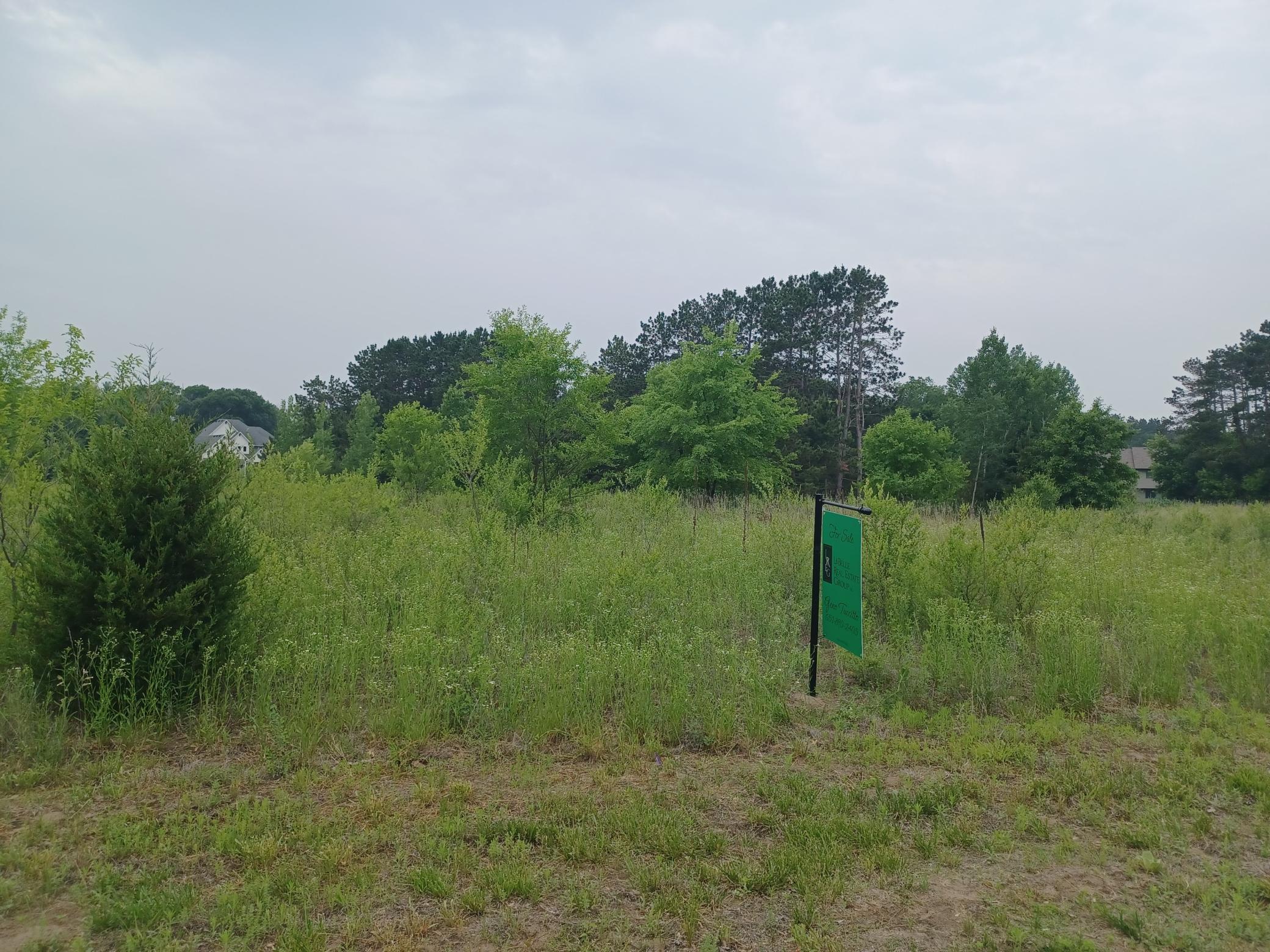 Lot 3 Block 1 Austin St Ne Branch Property Photo 1