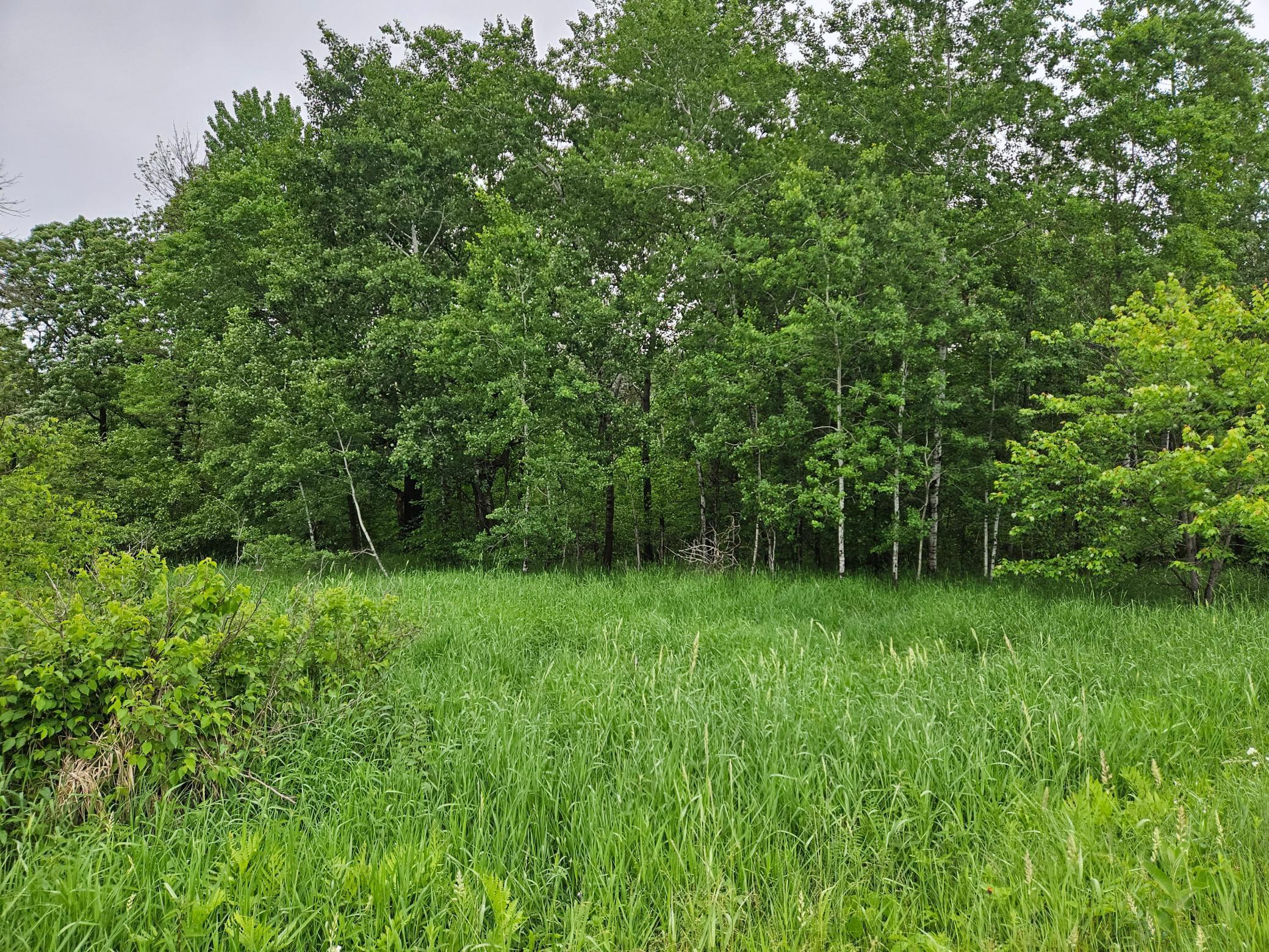 20 Acres 22 1/4 Street Property Photo 1