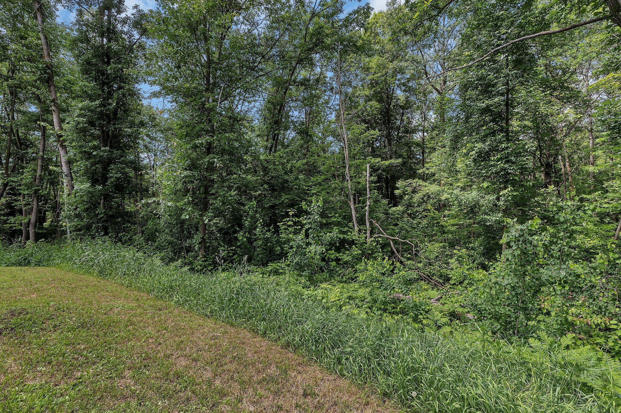 27331 Honey Hill Road Property Photo 40