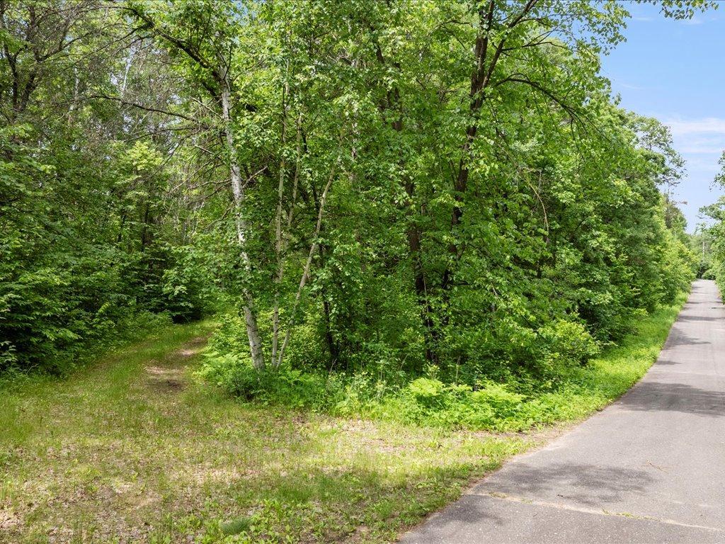 Tbd Dog Leg Property Photo 3