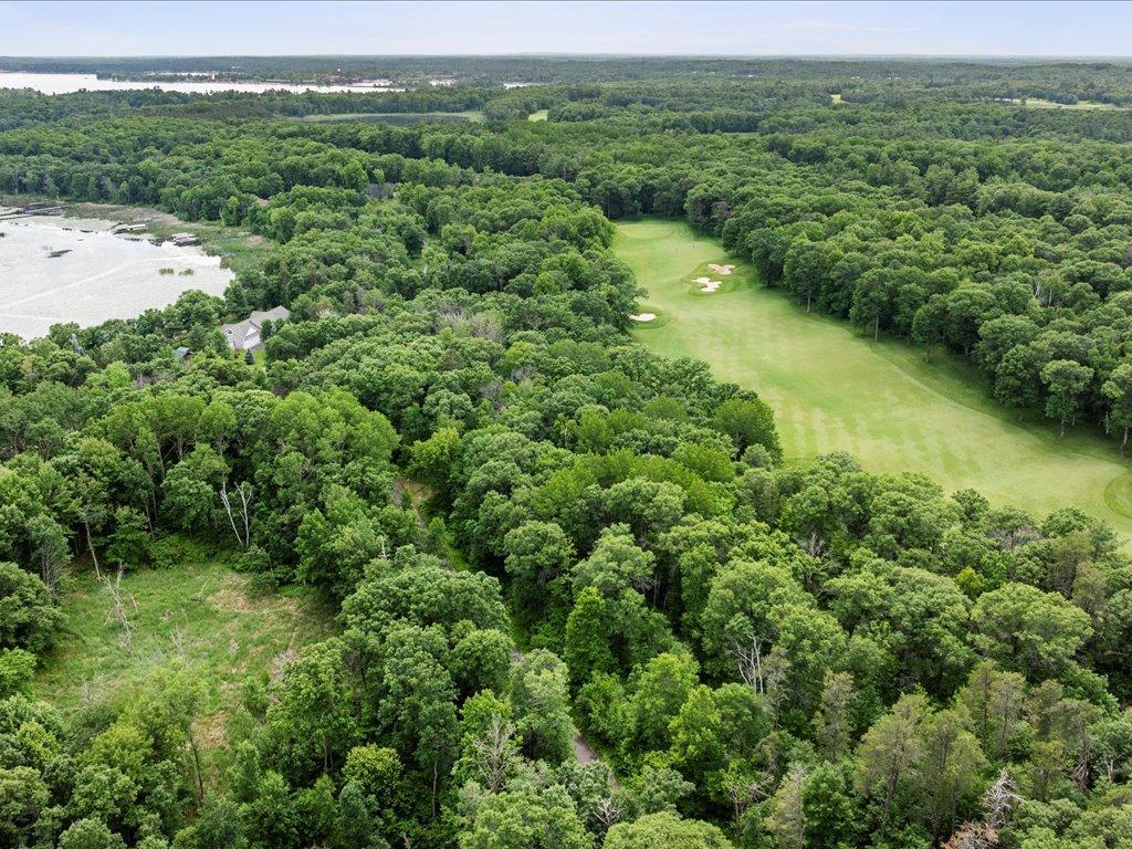 Tbd Dog Leg Property Photo 7