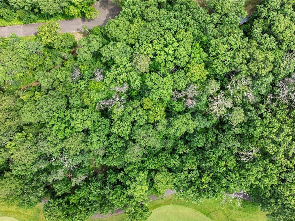 Tbd Dog Leg Property Photo 8