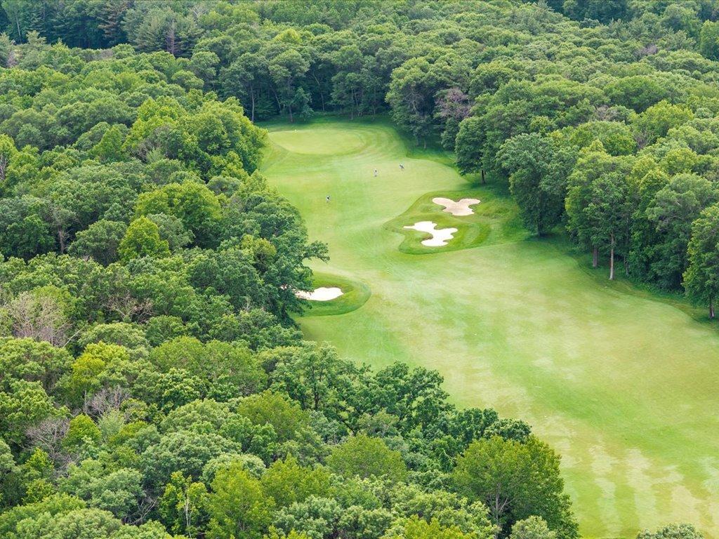 Tbd Dog Leg Property Photo 9