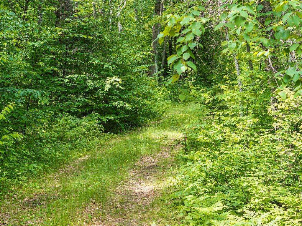 Tbd Dog Leg Property Photo 11