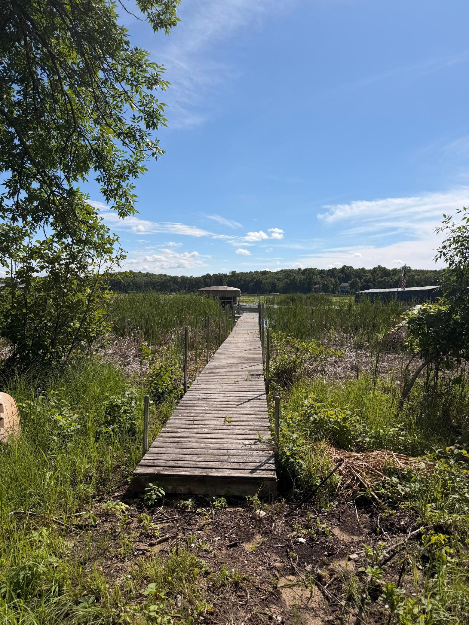 Tbd Dog Leg Property Photo 17