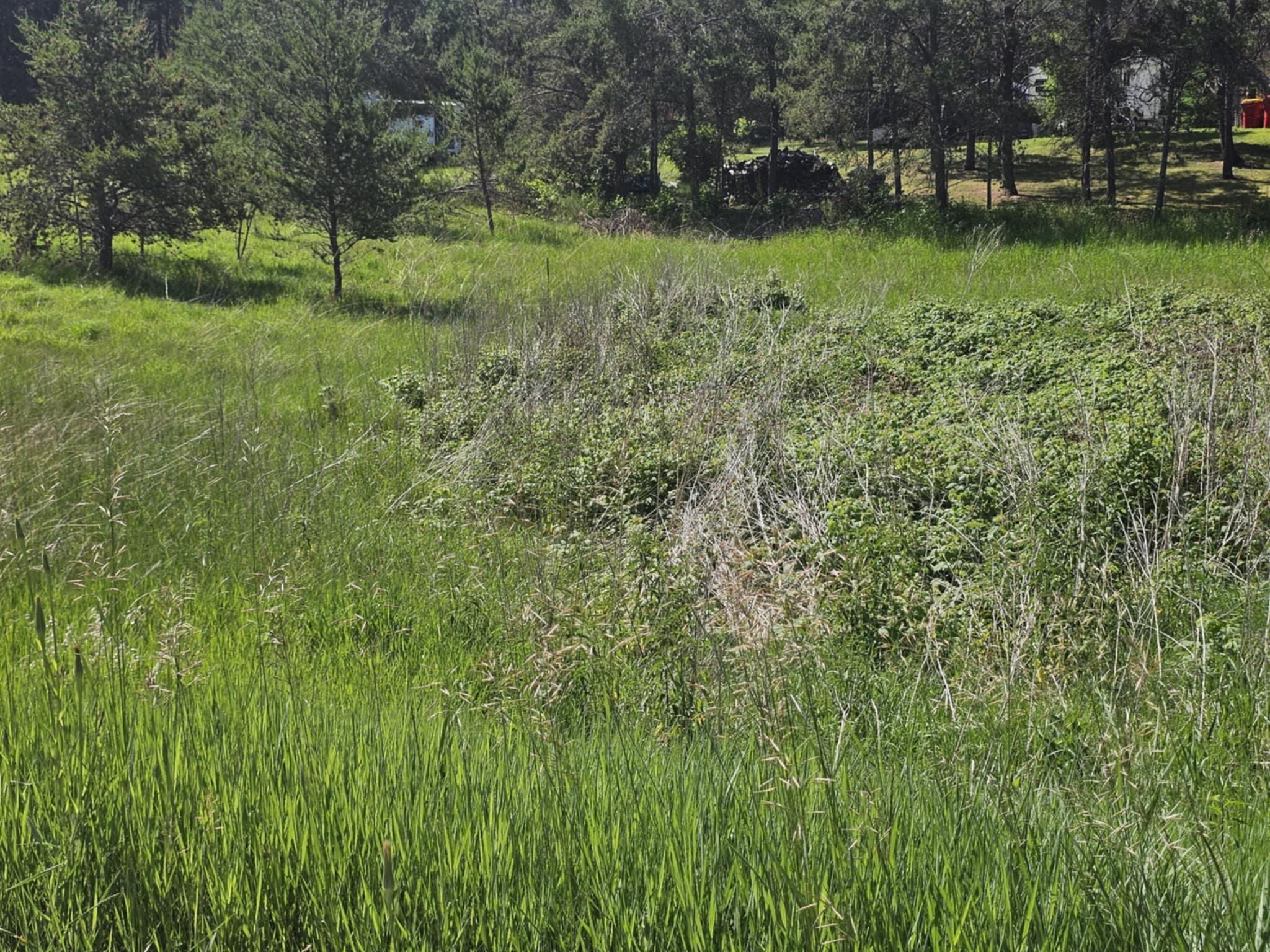 Tbd 1st Ave Property Photo 4