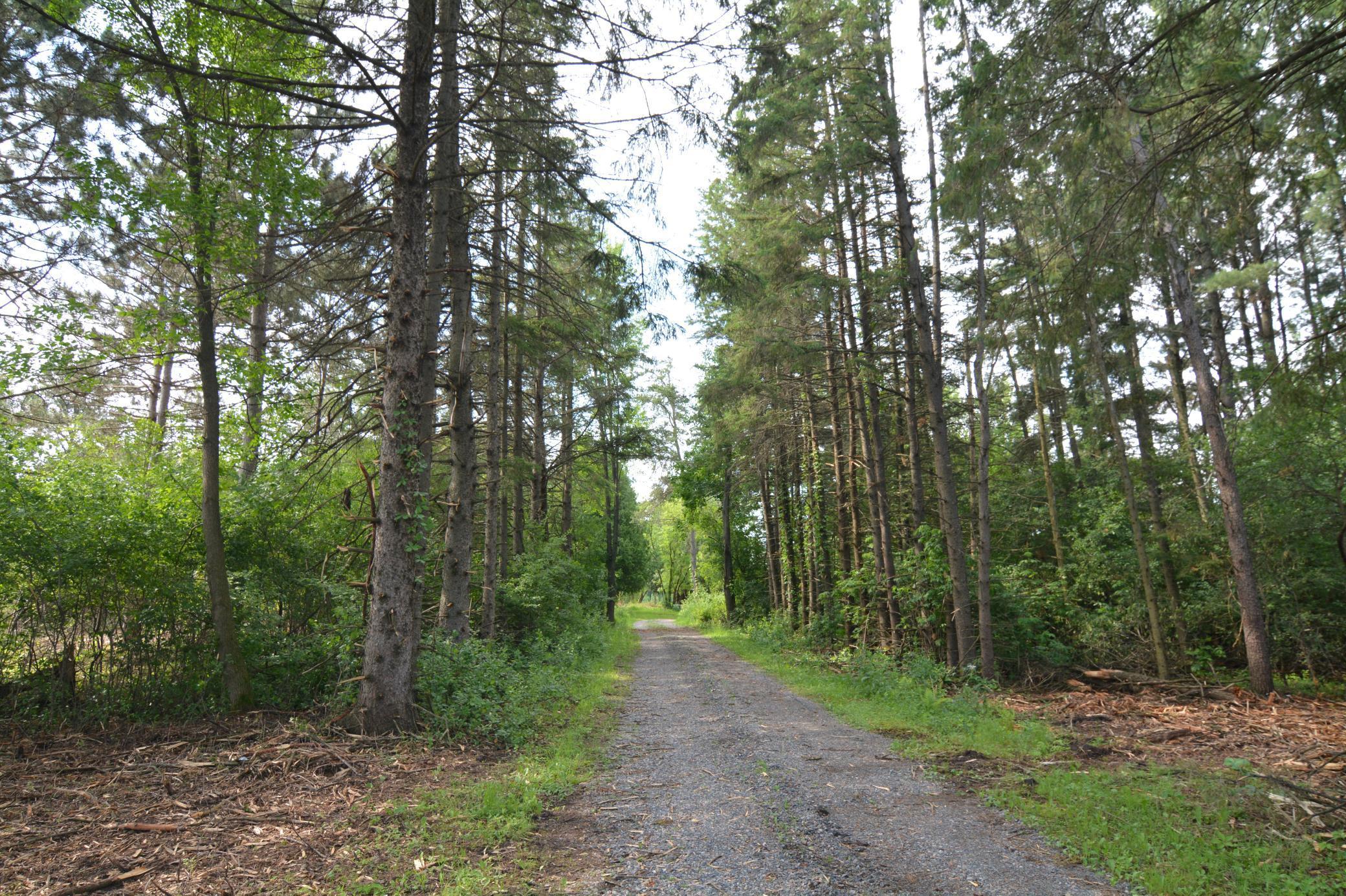 13149 State Highway 23 Property Photo 12