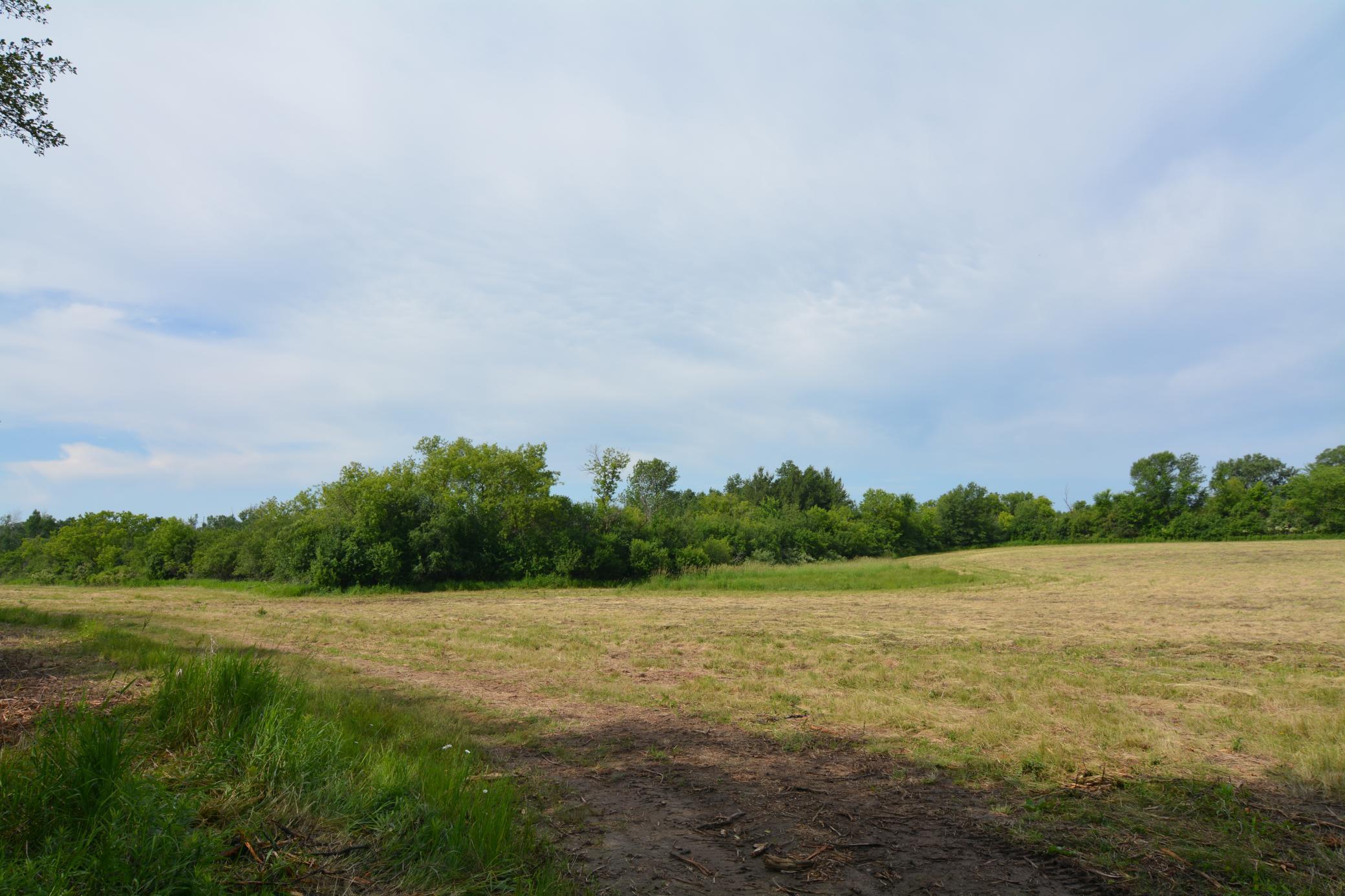 13149 State Highway 23 Property Photo 17