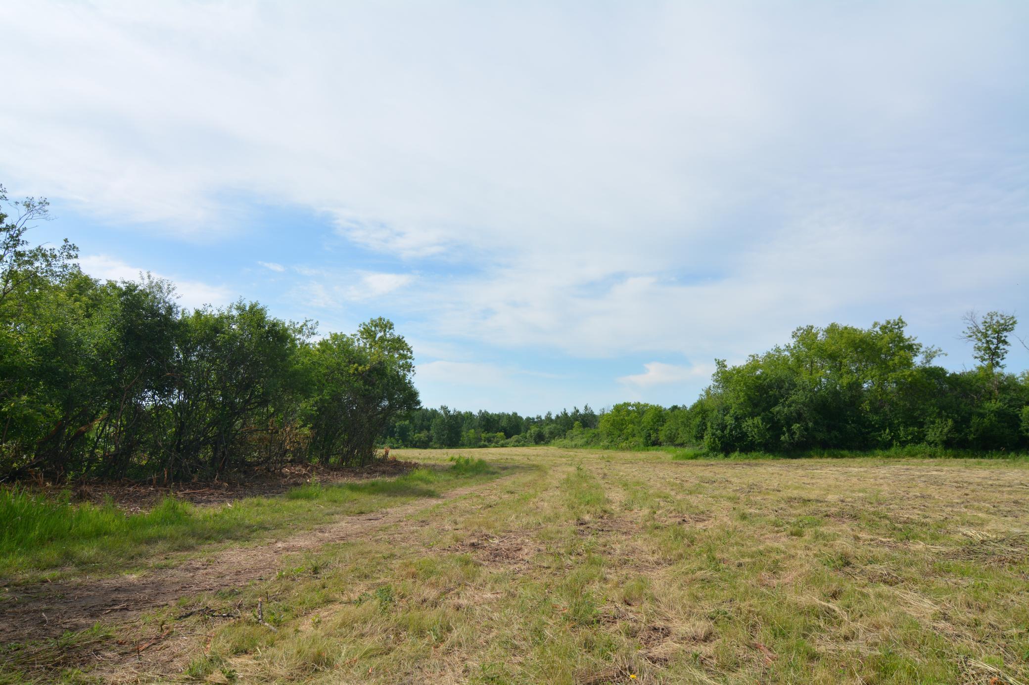 13149 State Highway 23 Property Photo 19