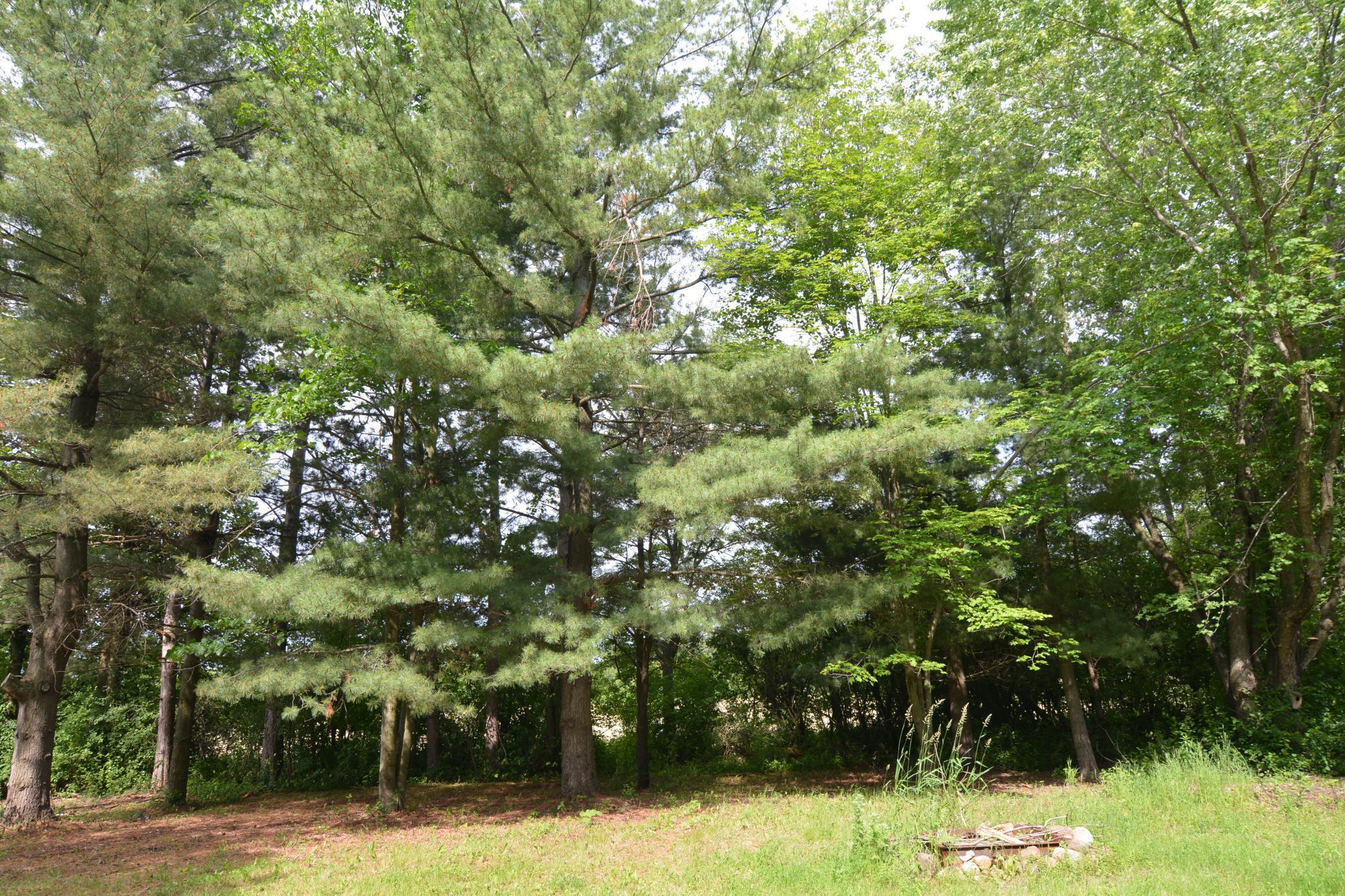 13149 State Highway 23 Property Photo 25