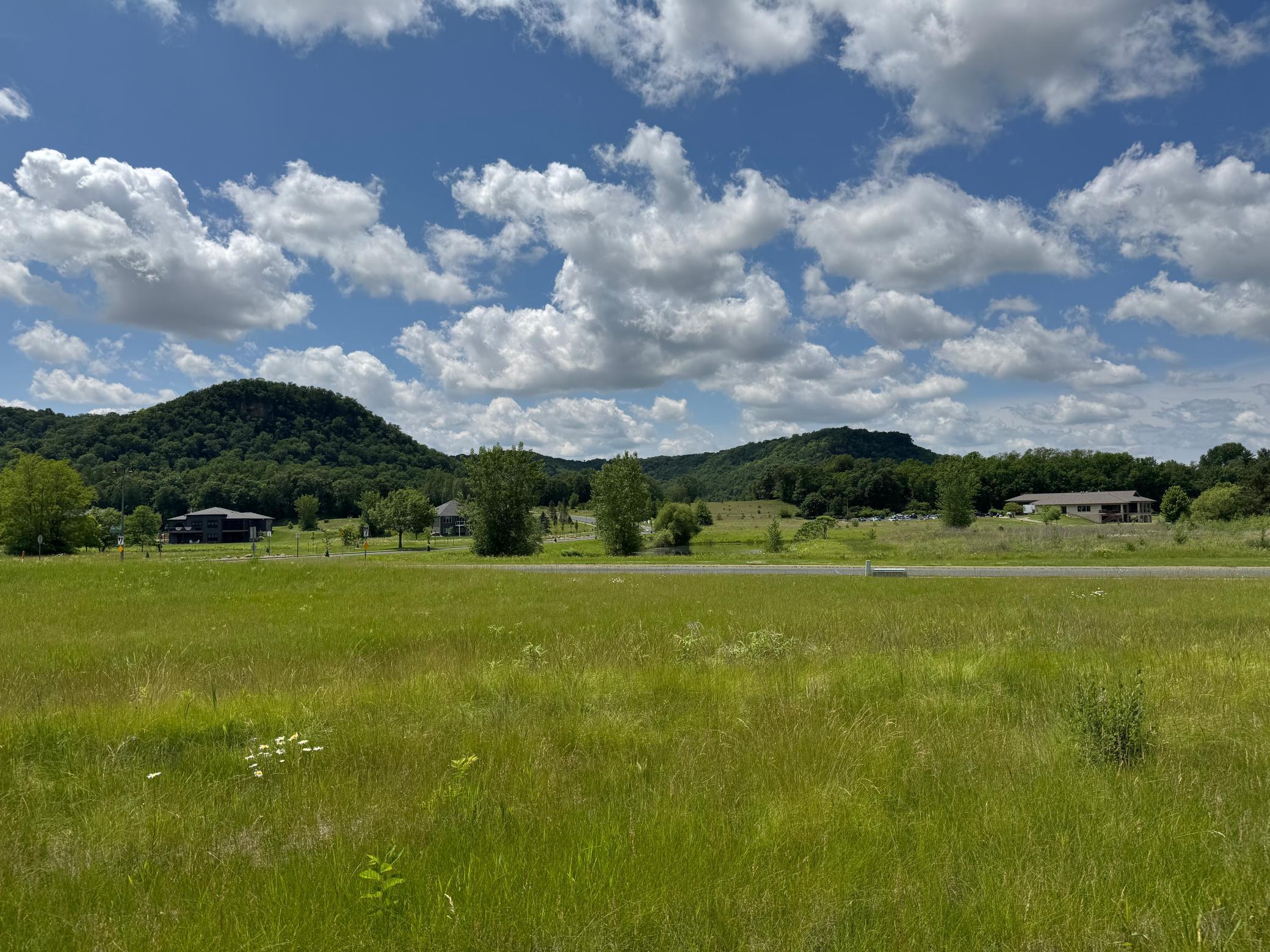 1431 Woodland Way Property Photo 1