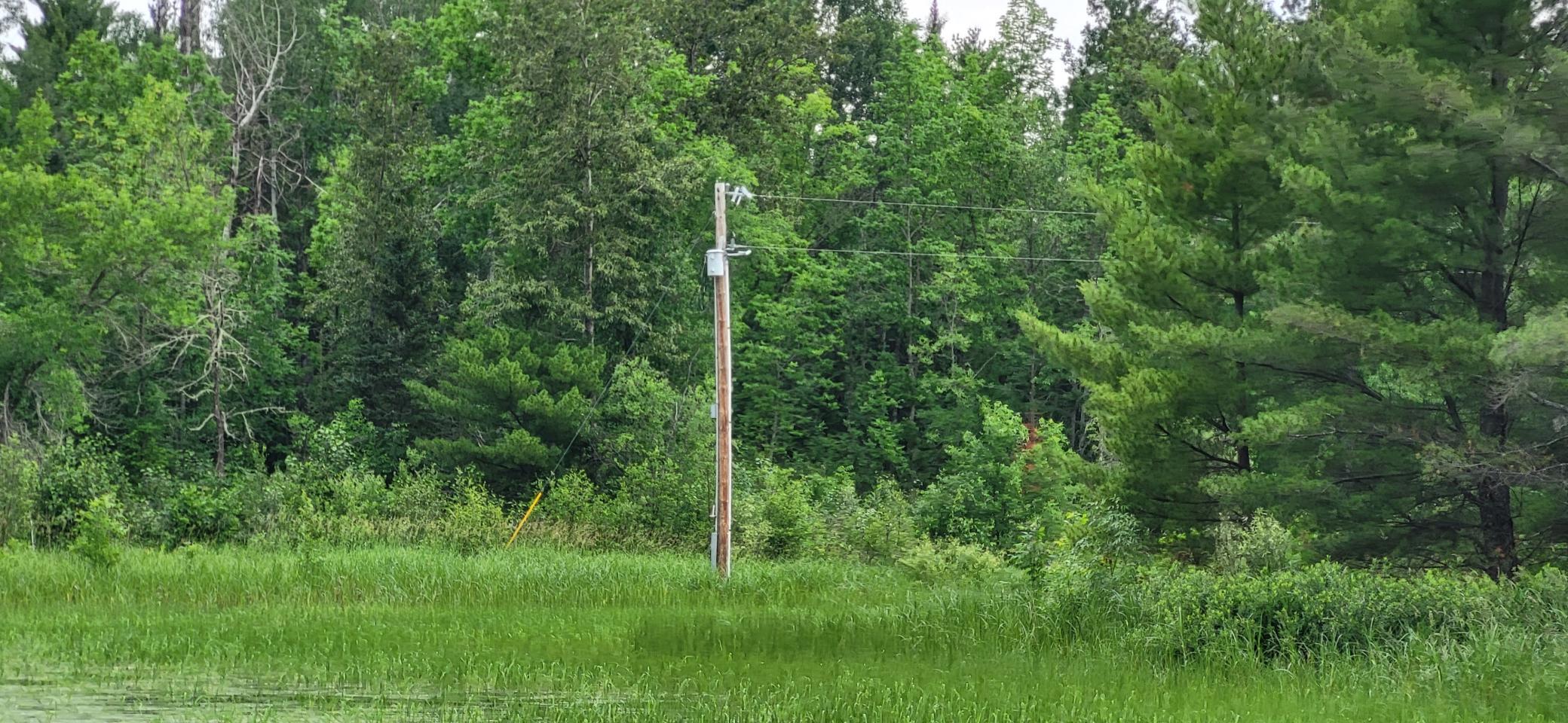 Tbd 40 Crane Lake Property Photo 7