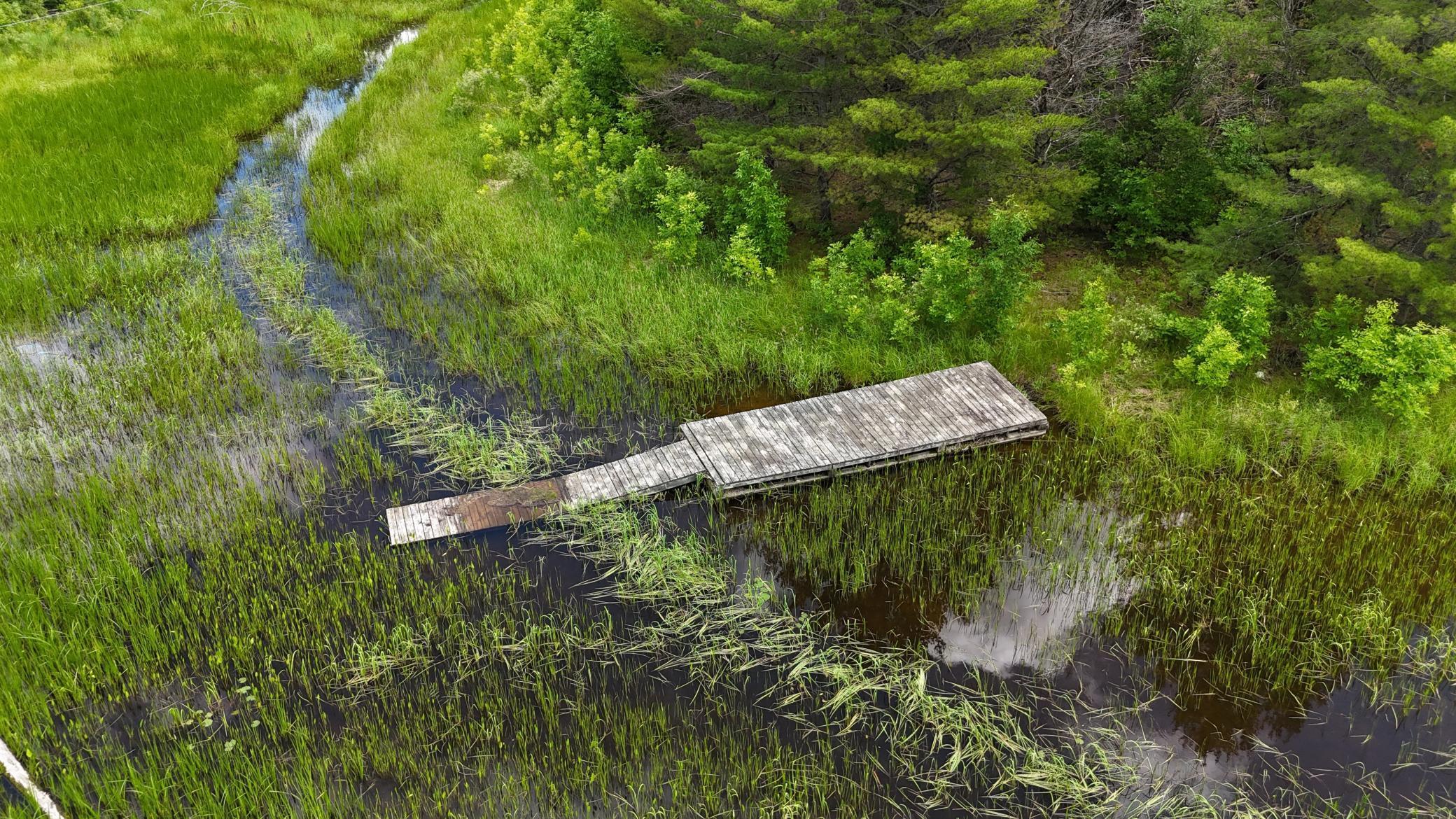 Tbd 40 Crane Lake Property Photo 8