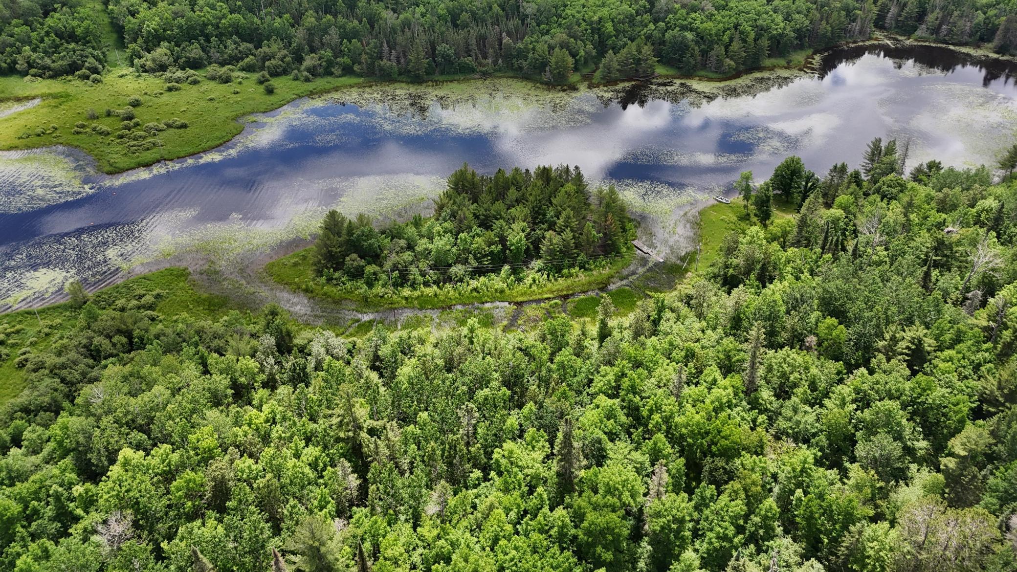 Tbd 40 Crane Lake Property Photo 19