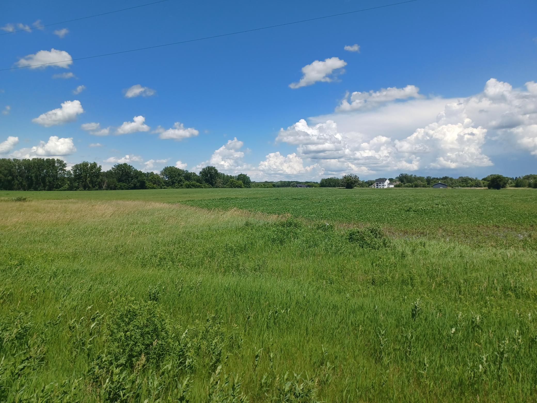 127xx Jody Ave N Branch Property Photo 1