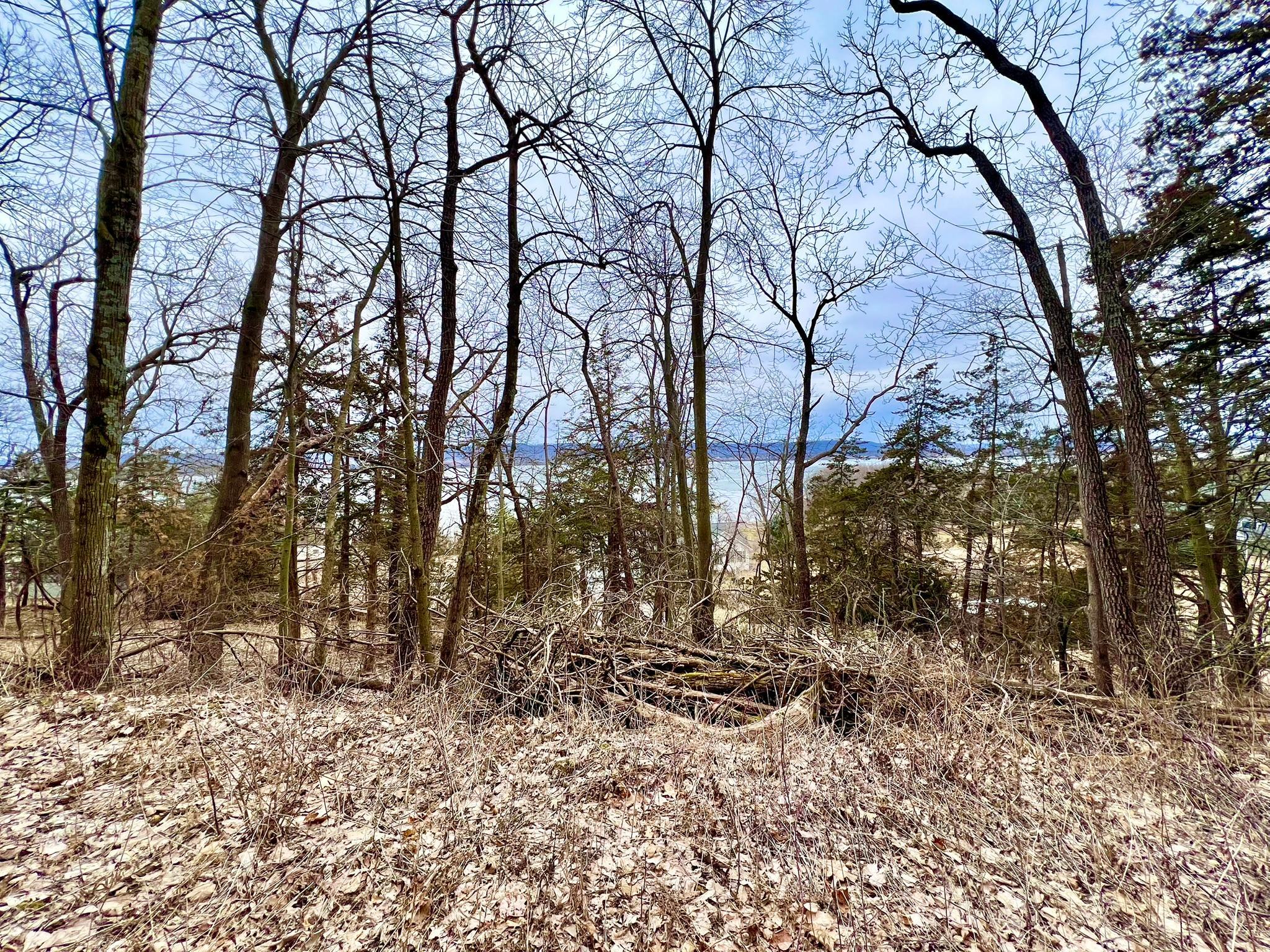 W12412 State Highway 35 Property Photo 10