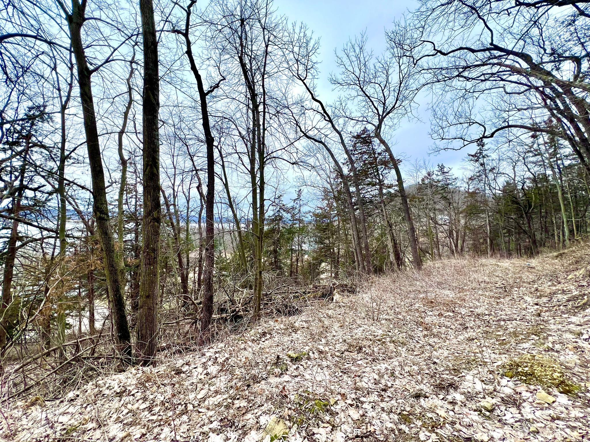 W12412 State Highway 35 Property Photo 11