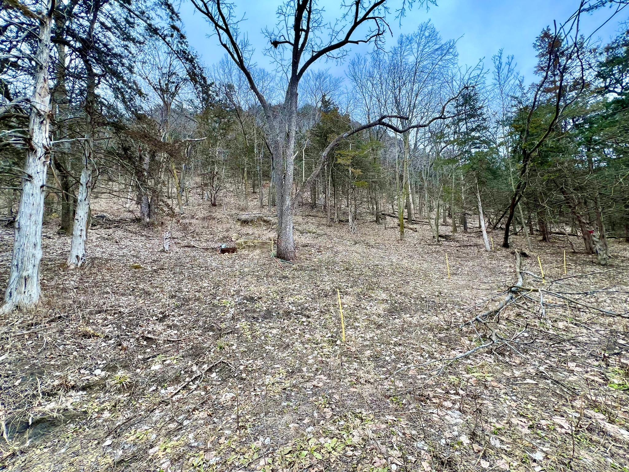 W12412 State Highway 35 Property Photo 18