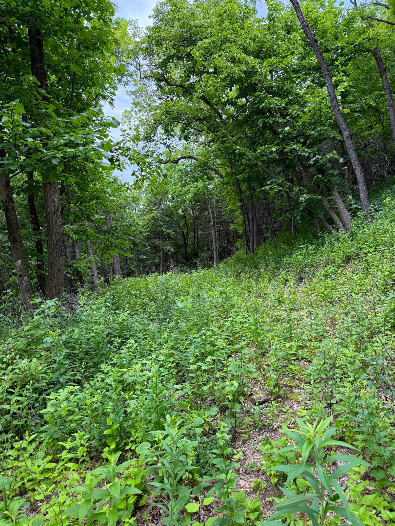 W12412 State Highway 35 Property Photo 23