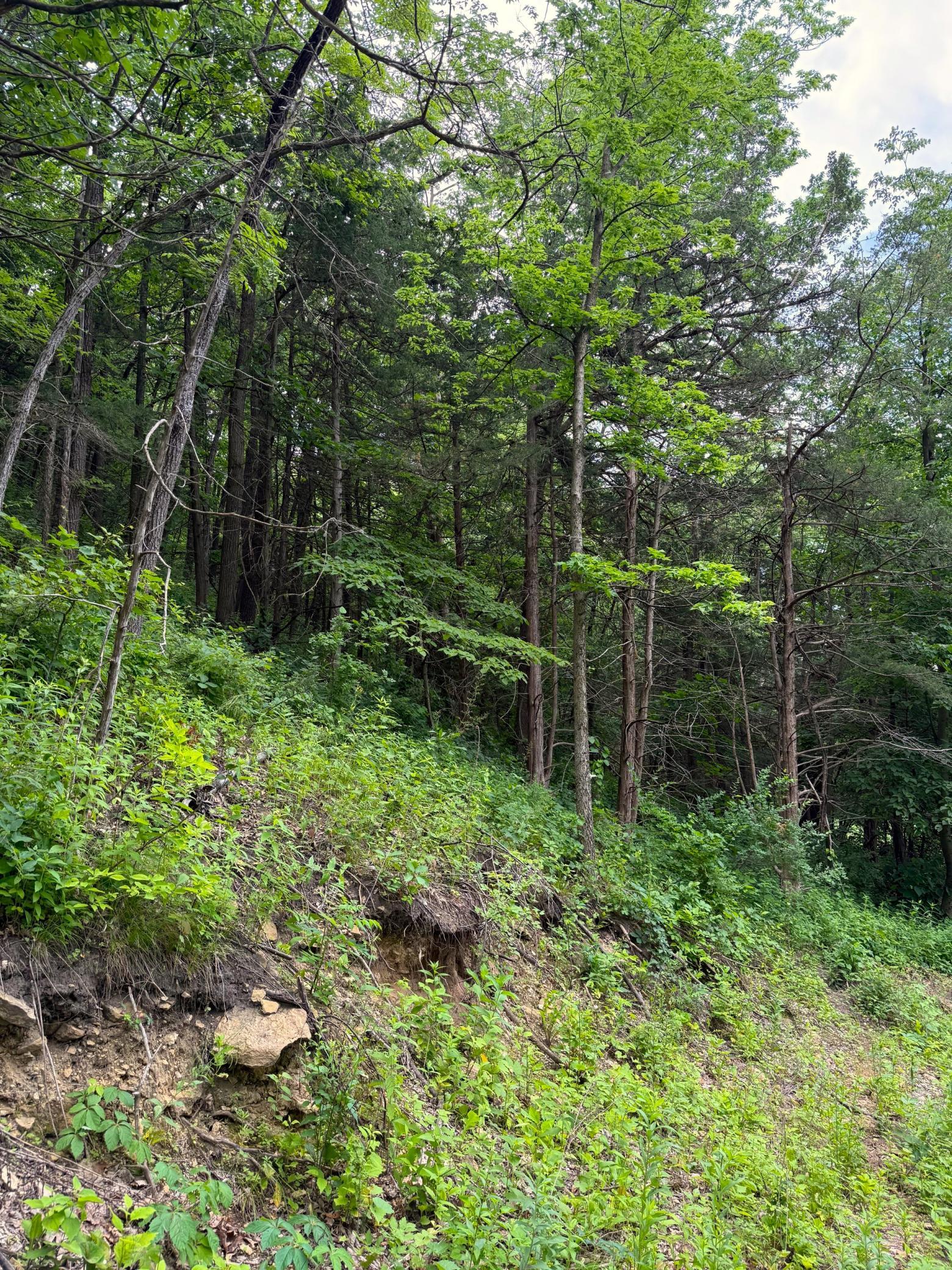 W12412 State Highway 35 Property Photo 24