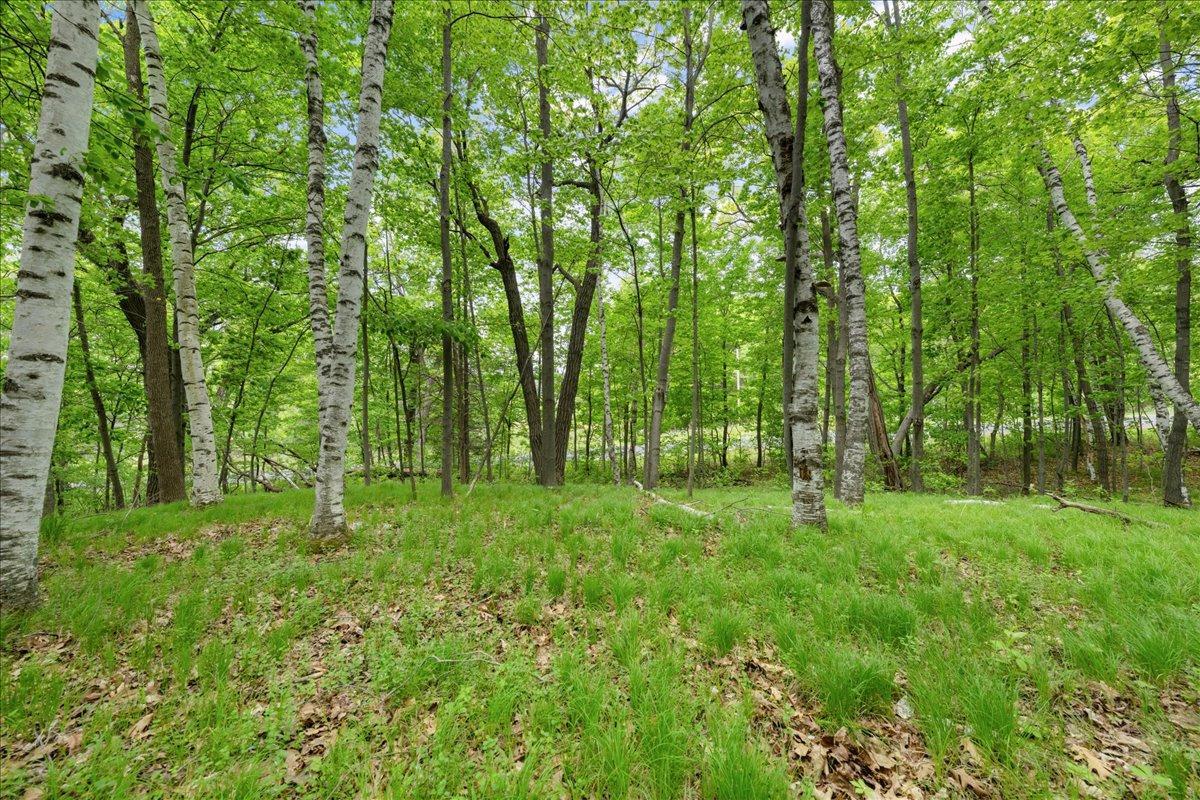 19311 (xxx) N Newgate Avenue Property Photo