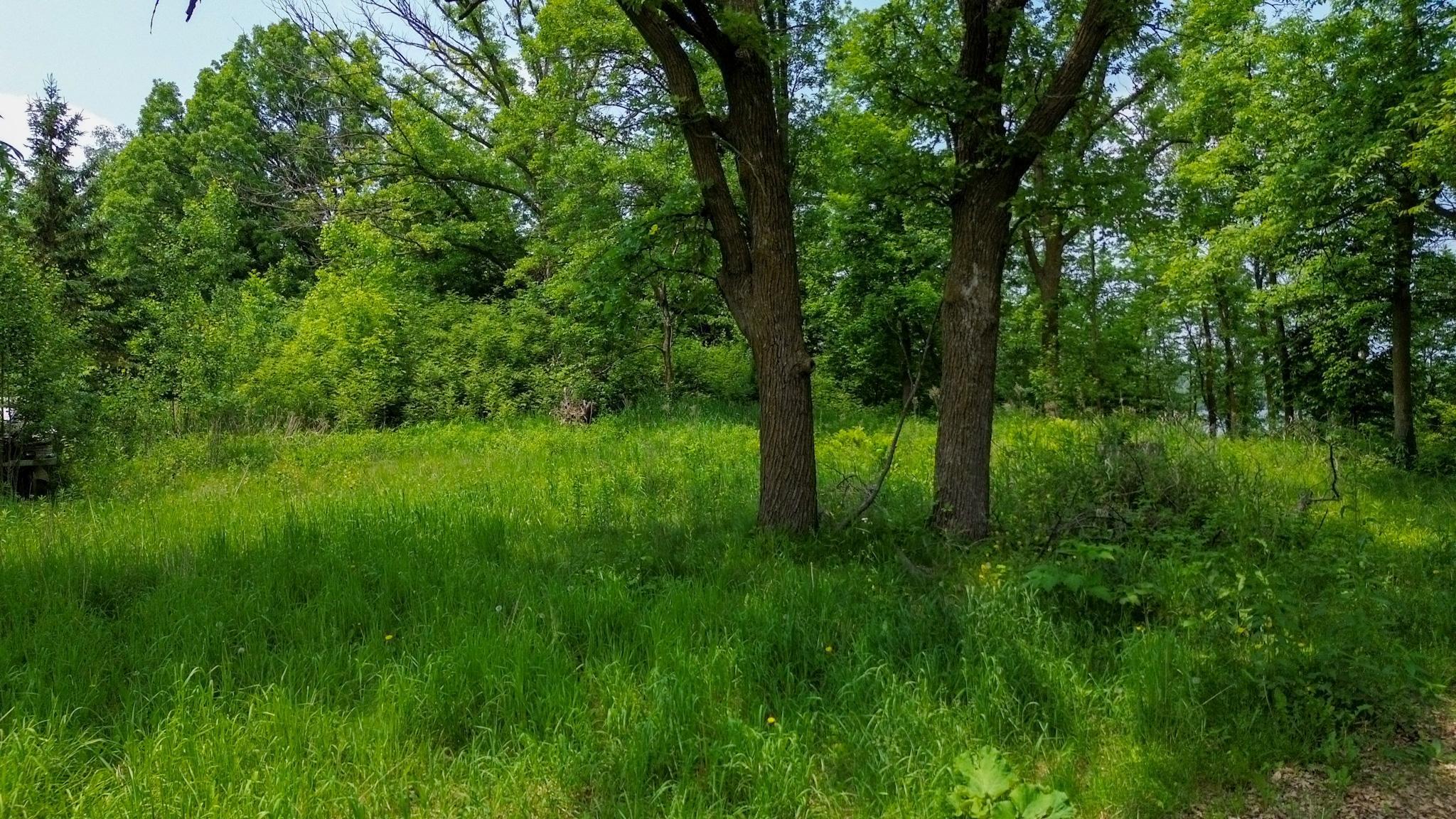 2015 1/2 Street Property Photo 17