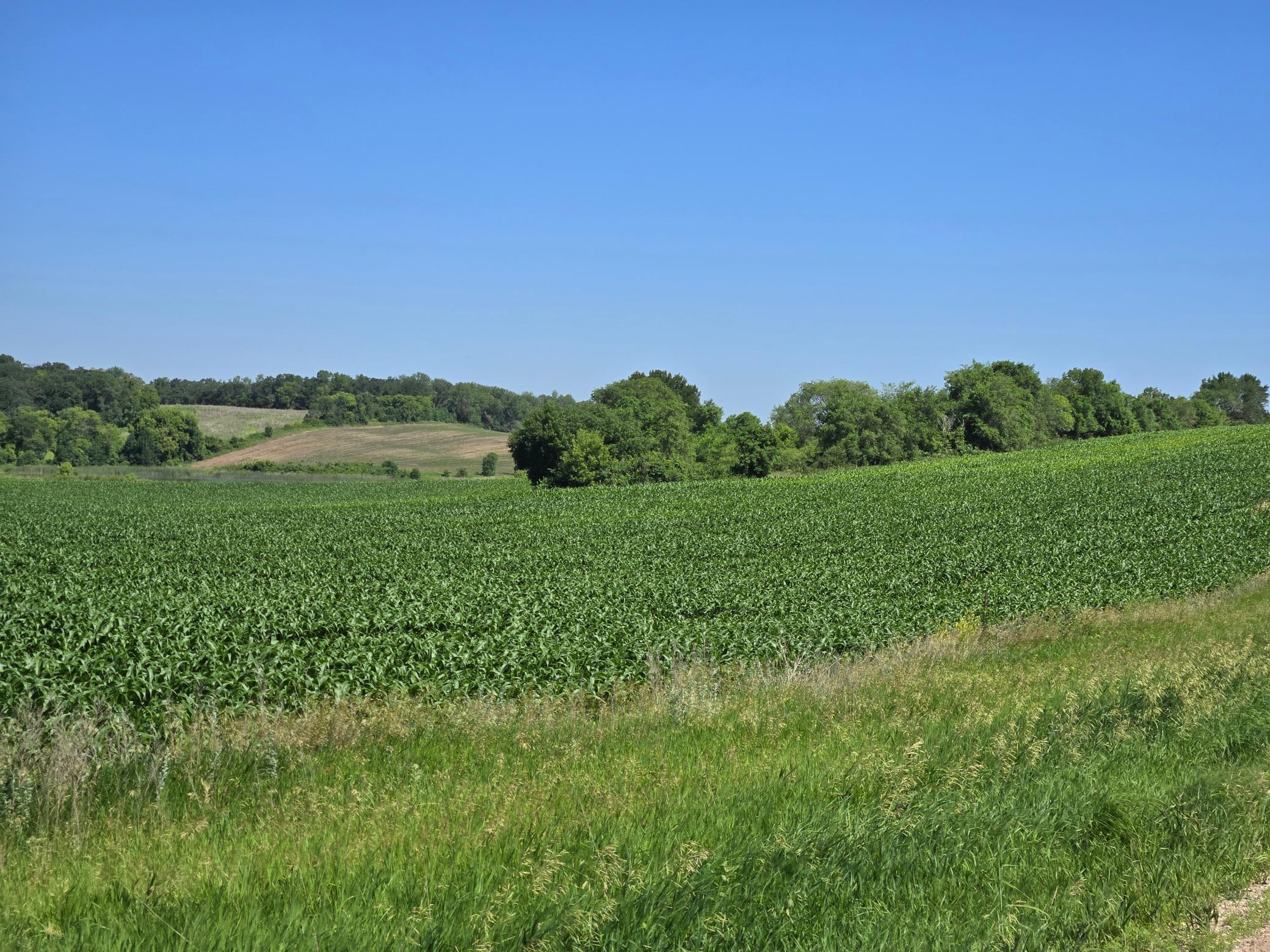 Tbd County Hwy 83 Property Photo 1