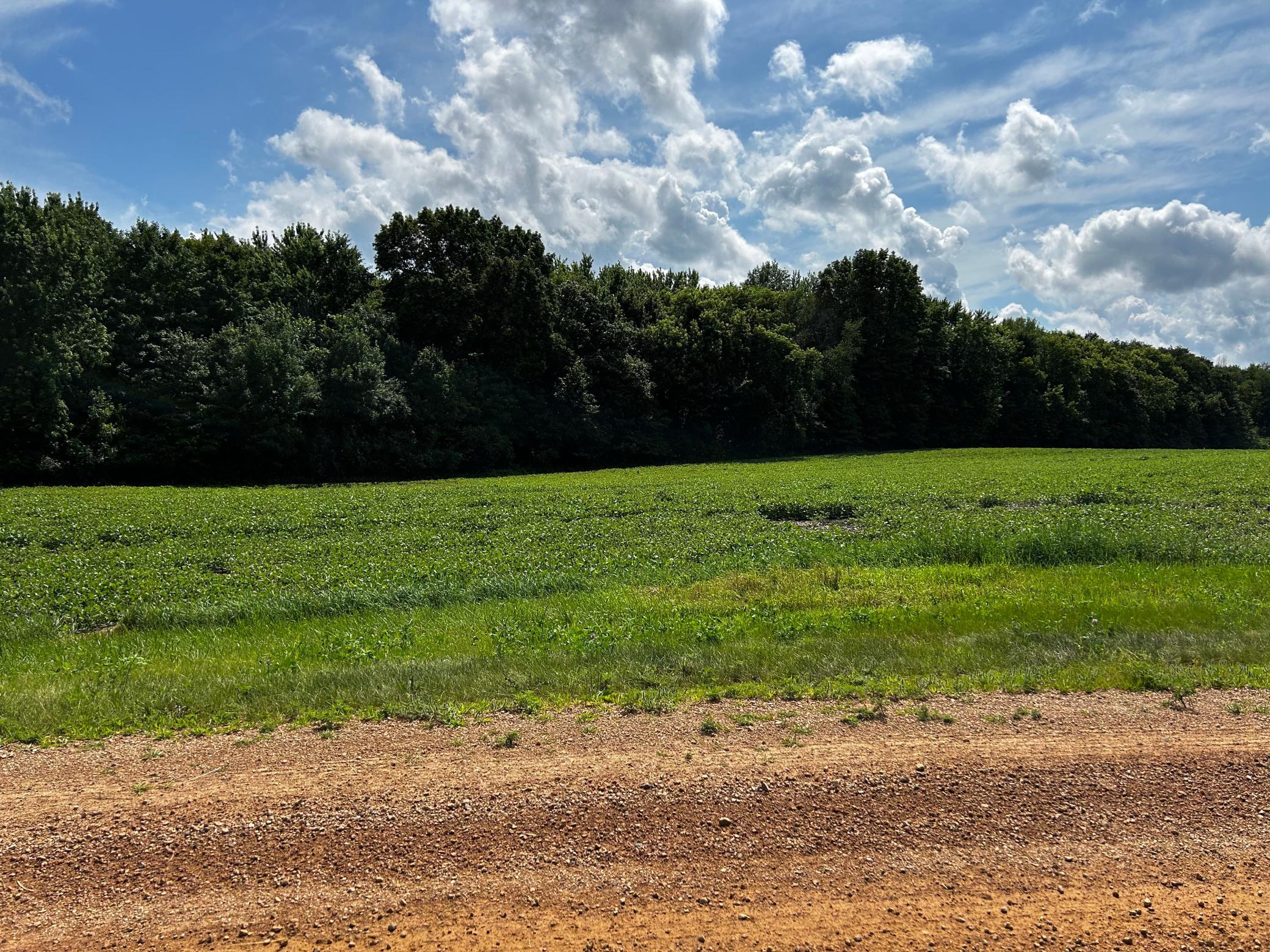 Xx Tbd Mellgren Lane Property Photo 1