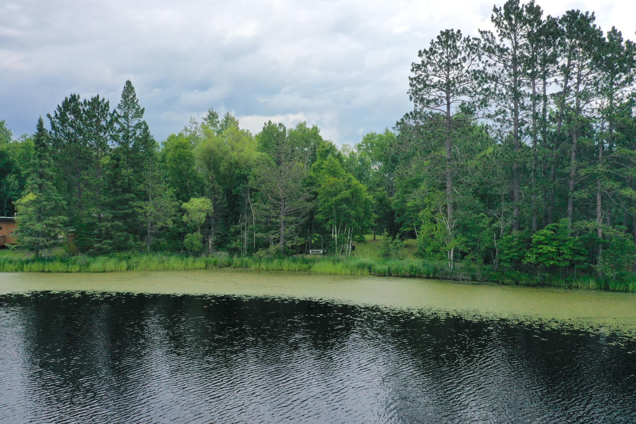 3549 Coe Lake Rd. Property Photo 1