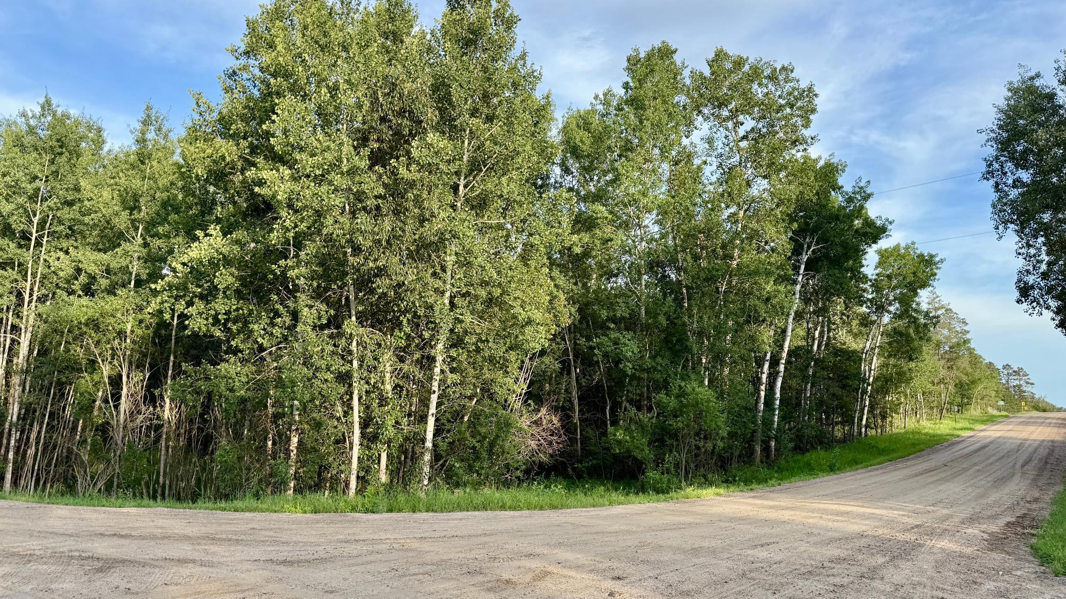 Tbd Holly Road Property Photo 1