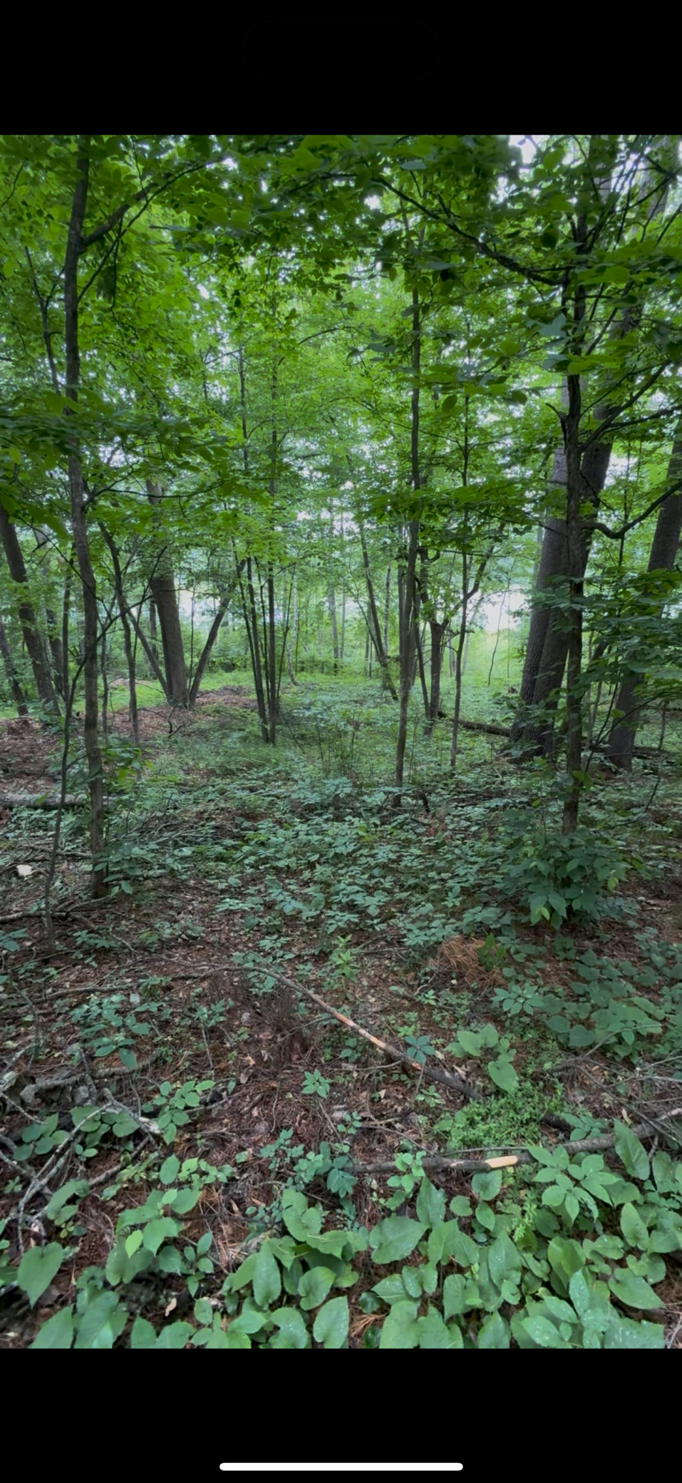 TBD Fawn Lake rd Property Photo 1