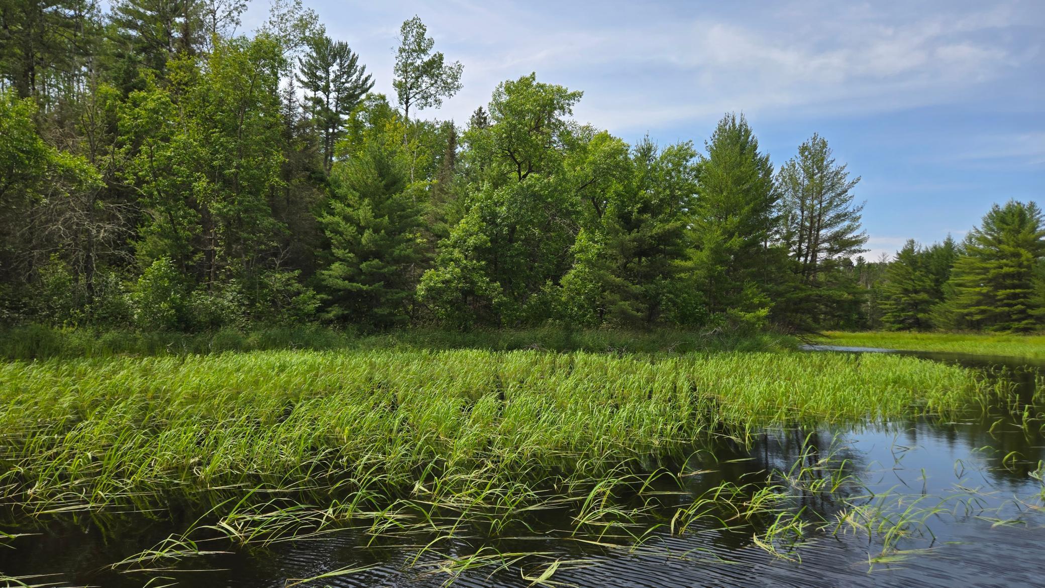 Tbd 40 N Rollick Creek Property Photo 1
