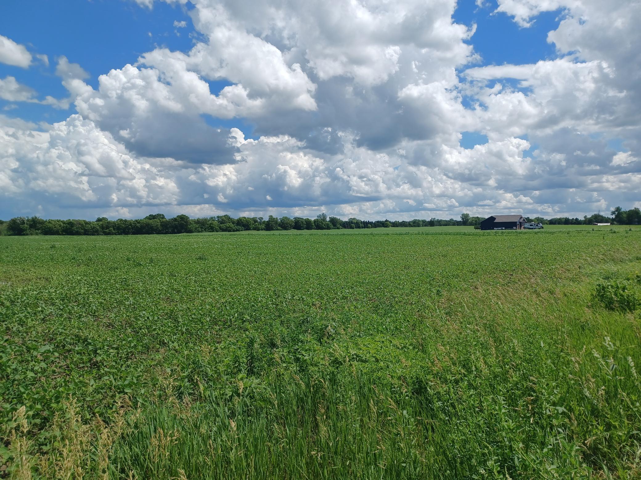 128xx Jody Ave Property Photo 1