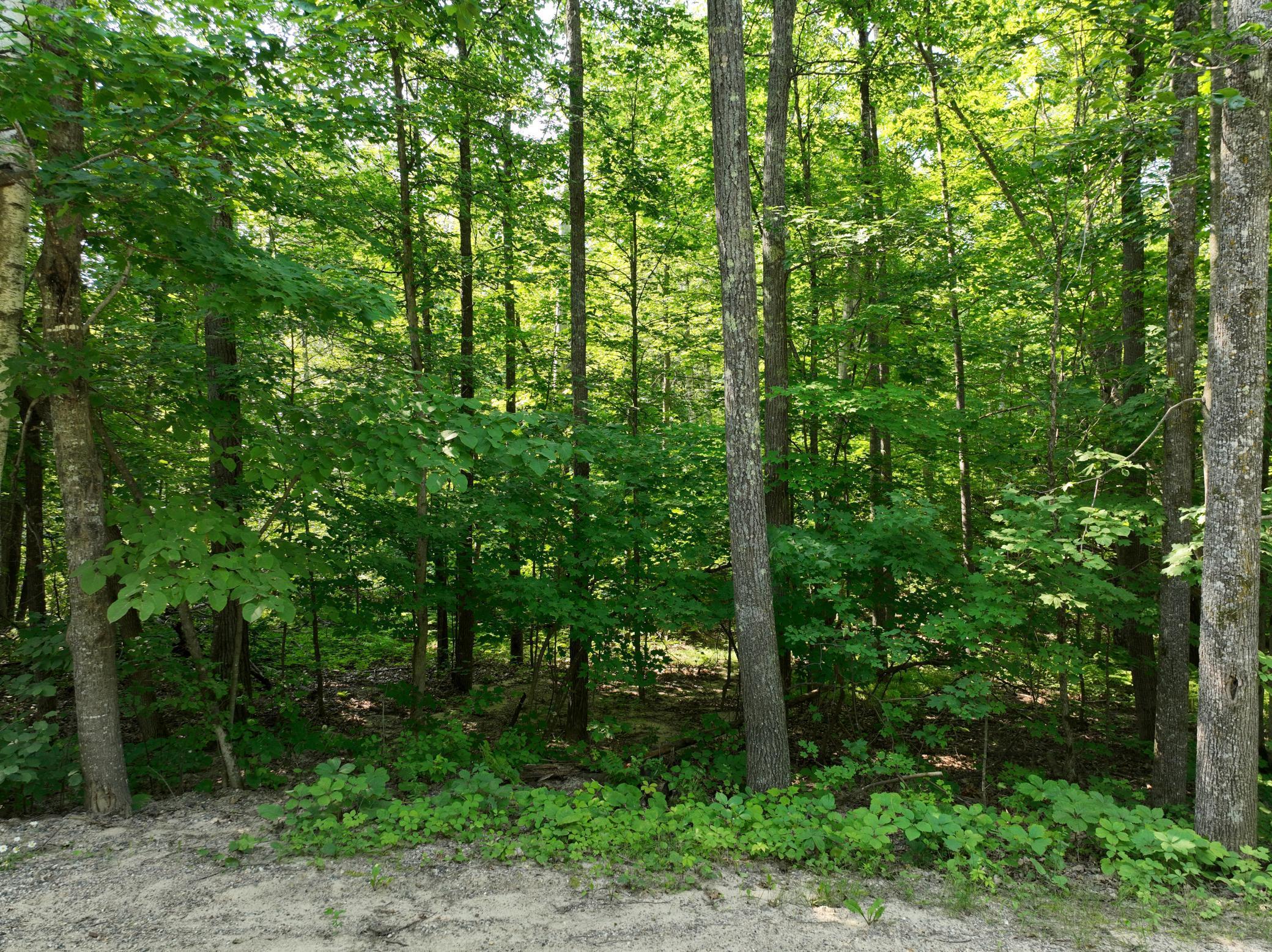 Tbd Hillerman Road Nw Property Photo 5