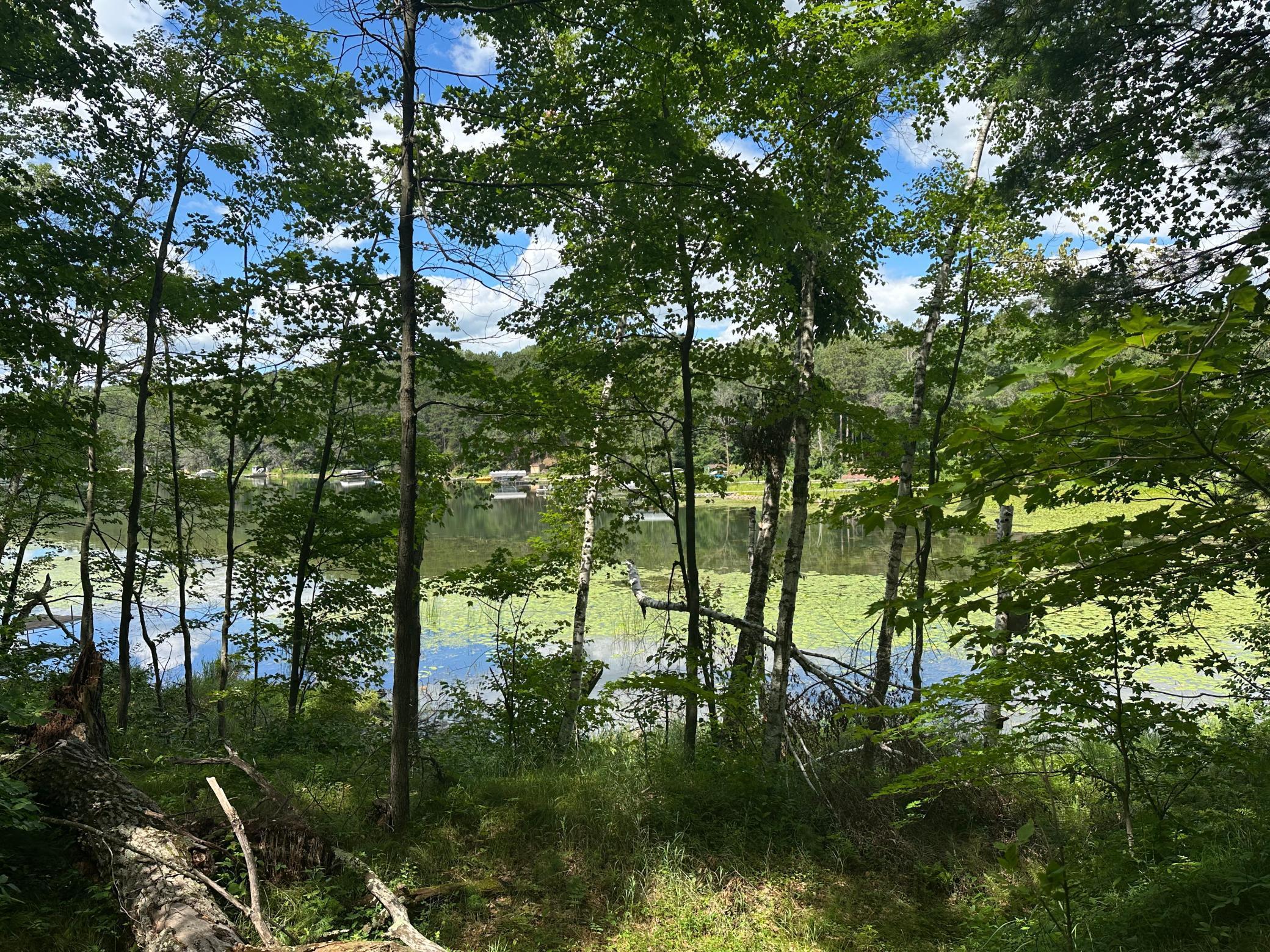 Tbd White Pine Lane Property Photo 1
