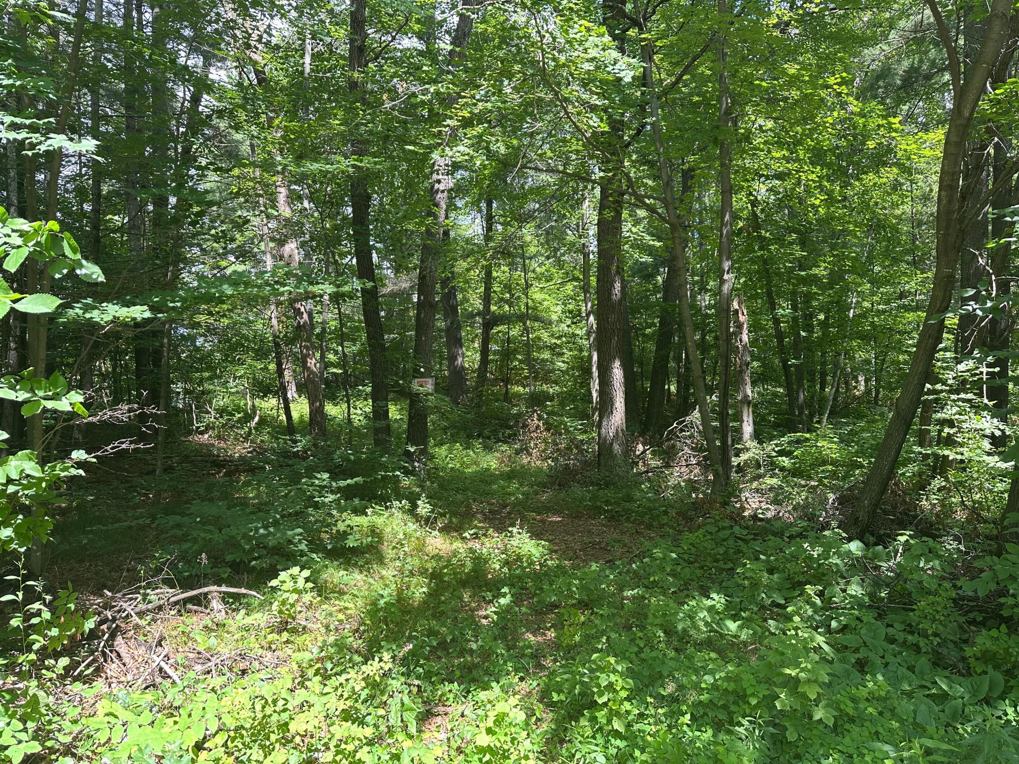 33073 Aspen Lane Property Photo 1