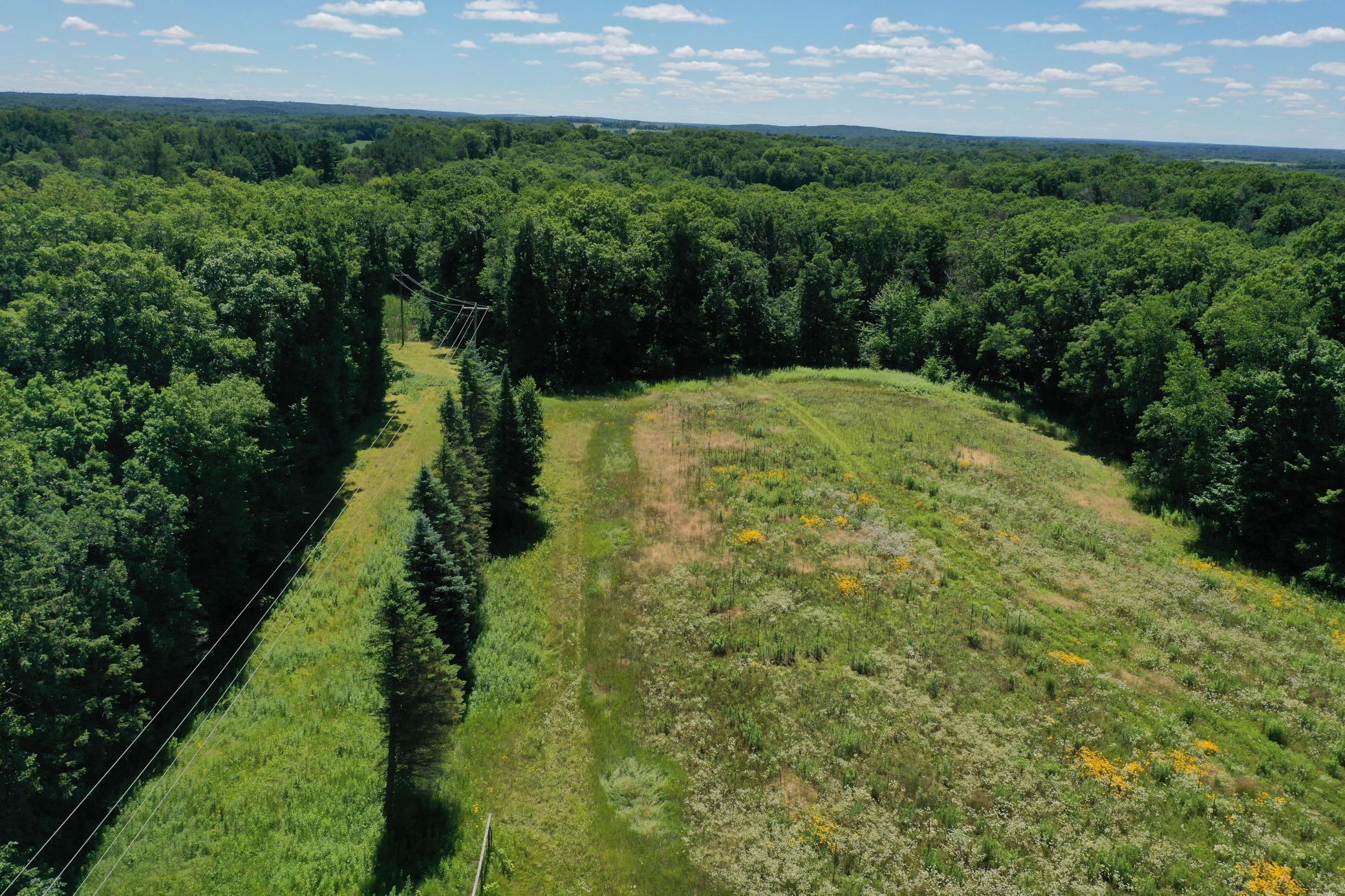 2067 State Hwy 87 Property Photo 34