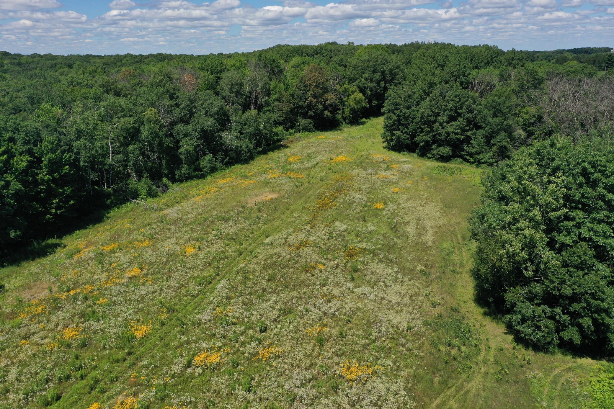 2067 State Hwy 87 Property Photo 35