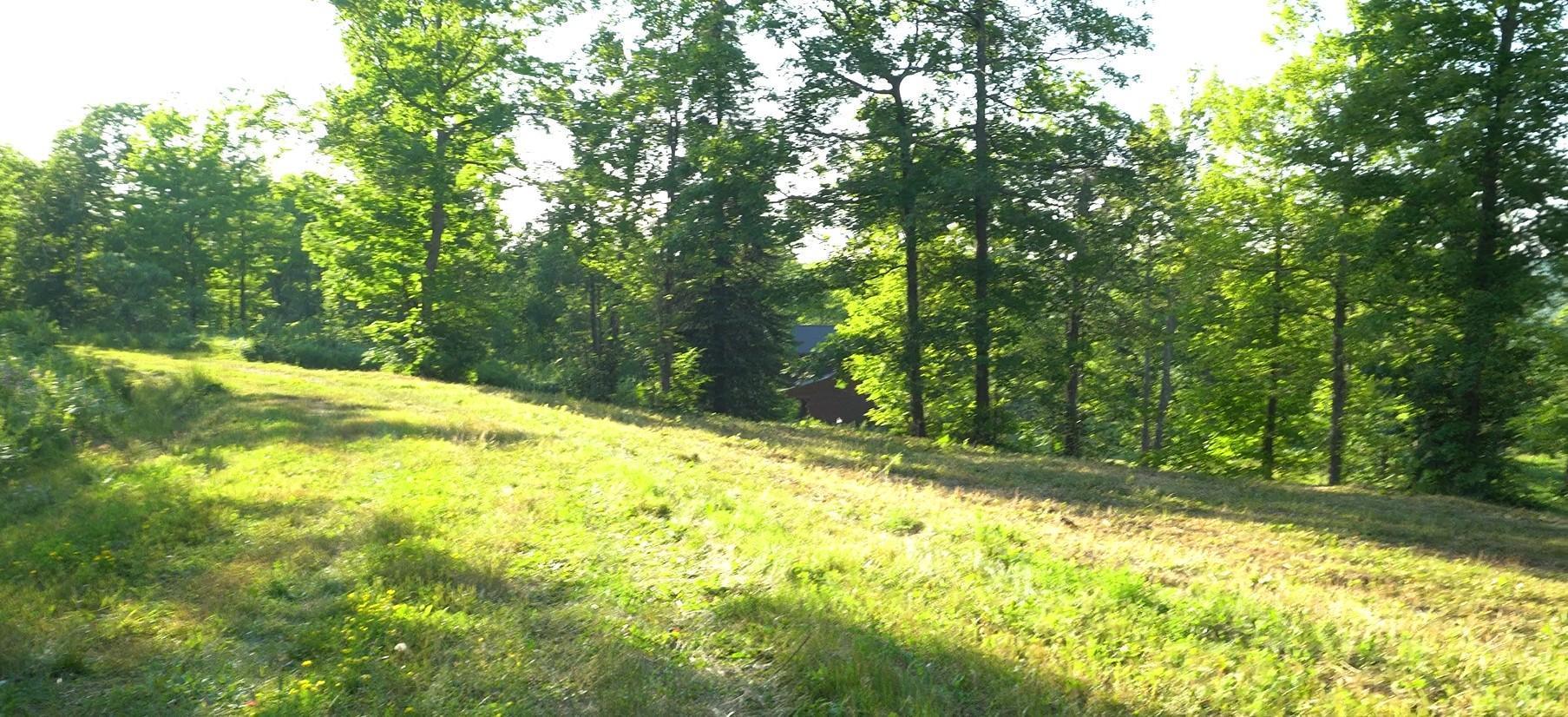 83xxx - Lot 6 Ashwabay Heights Road Property Photo 2