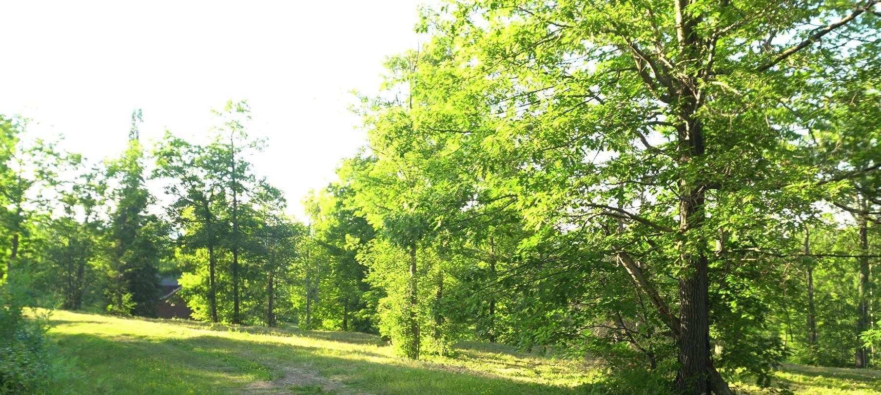 83xxx - Lot 6 Ashwabay Heights Road Property Photo 4