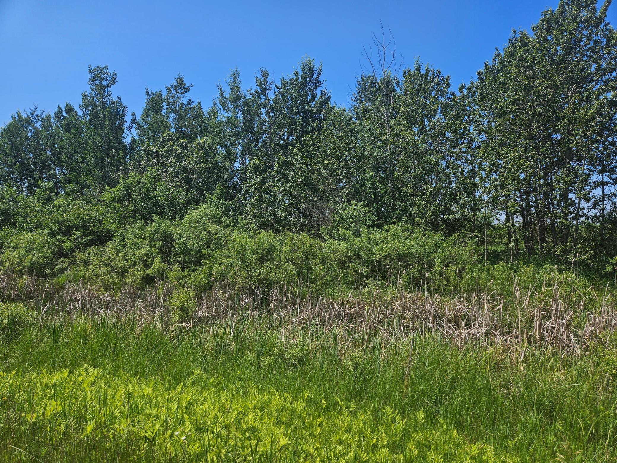 Xxx County Road 32 Property Photo 1