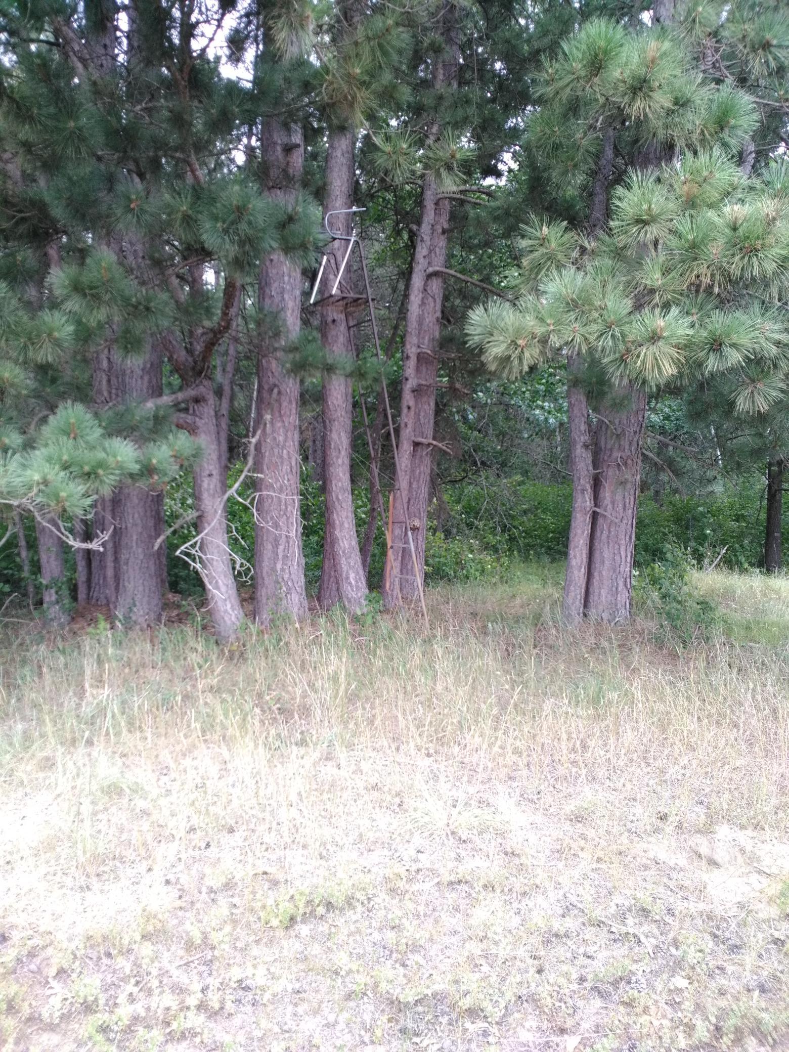 Xxxx 159th Avenue Property Photo 11