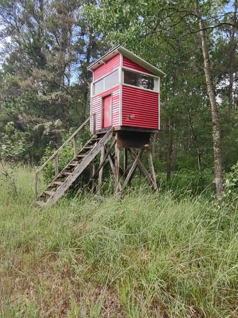 Xxxx 159th Avenue Property Photo 12