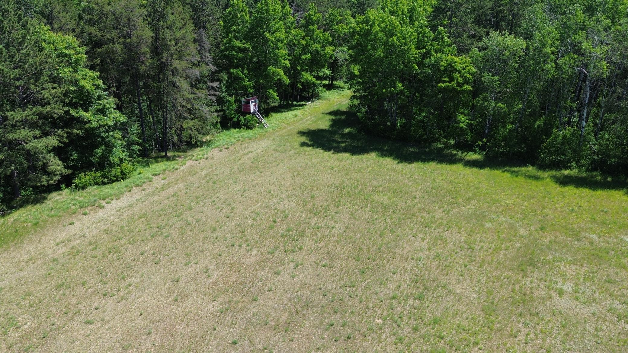 Xxxx 159th Avenue Property Photo 14