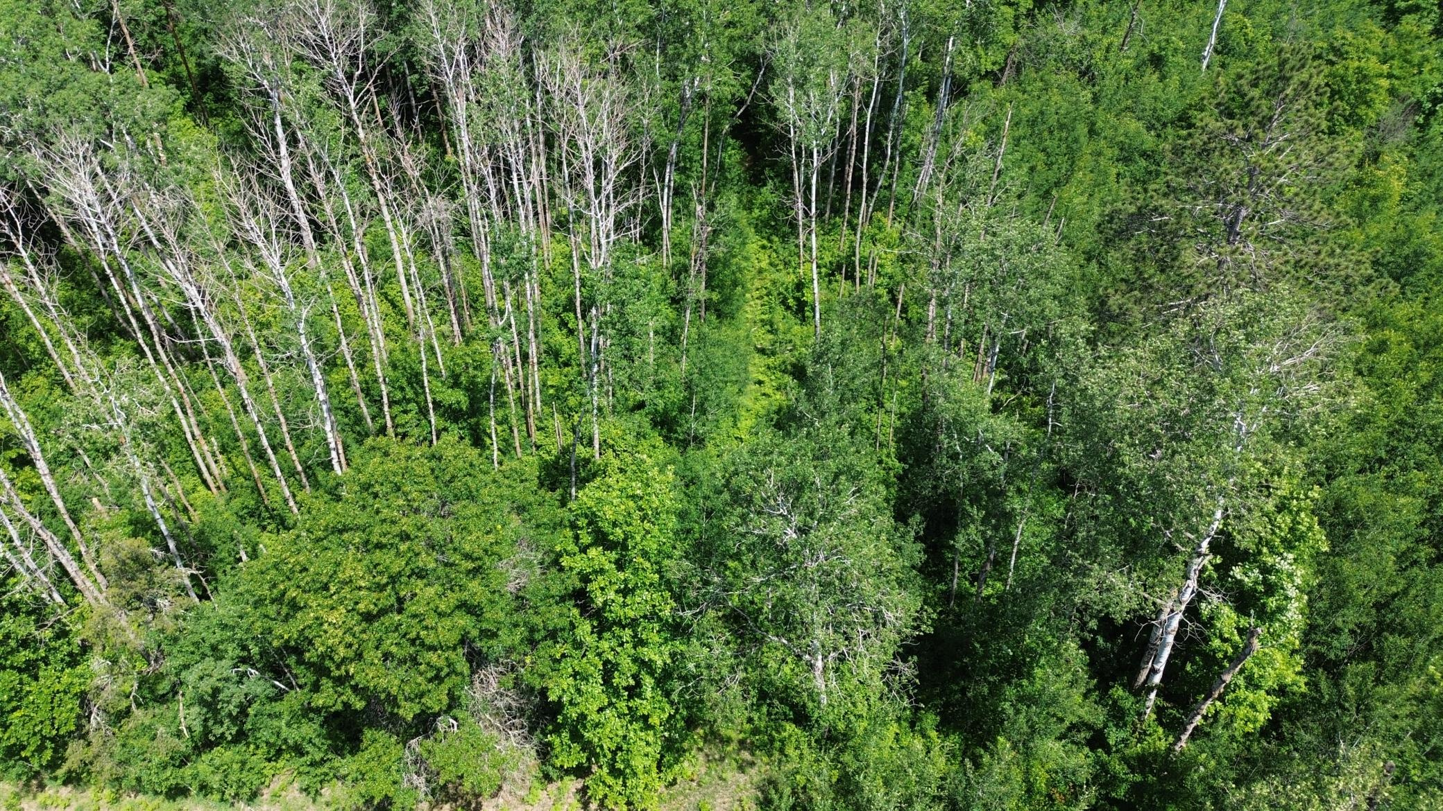 Xxxx 159th Avenue Property Photo 16