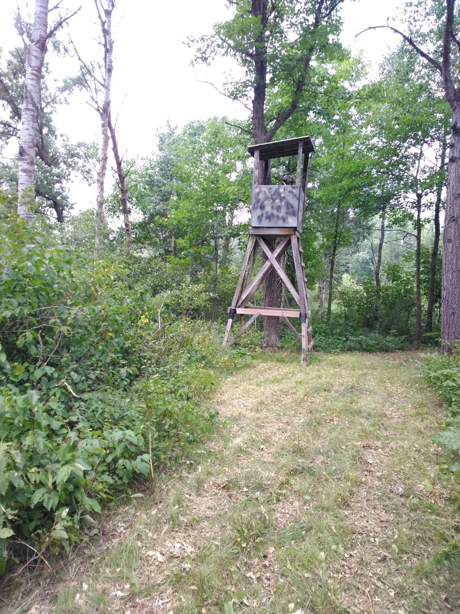 Xxxx 159th Avenue Property Photo 18