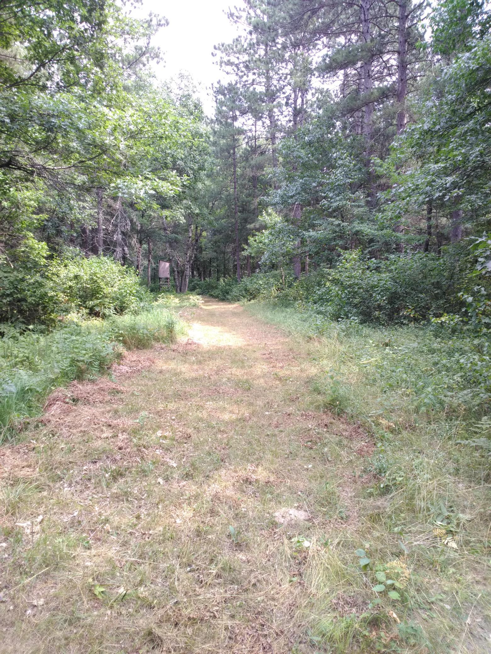 Xxxx 159th Avenue Property Photo 19